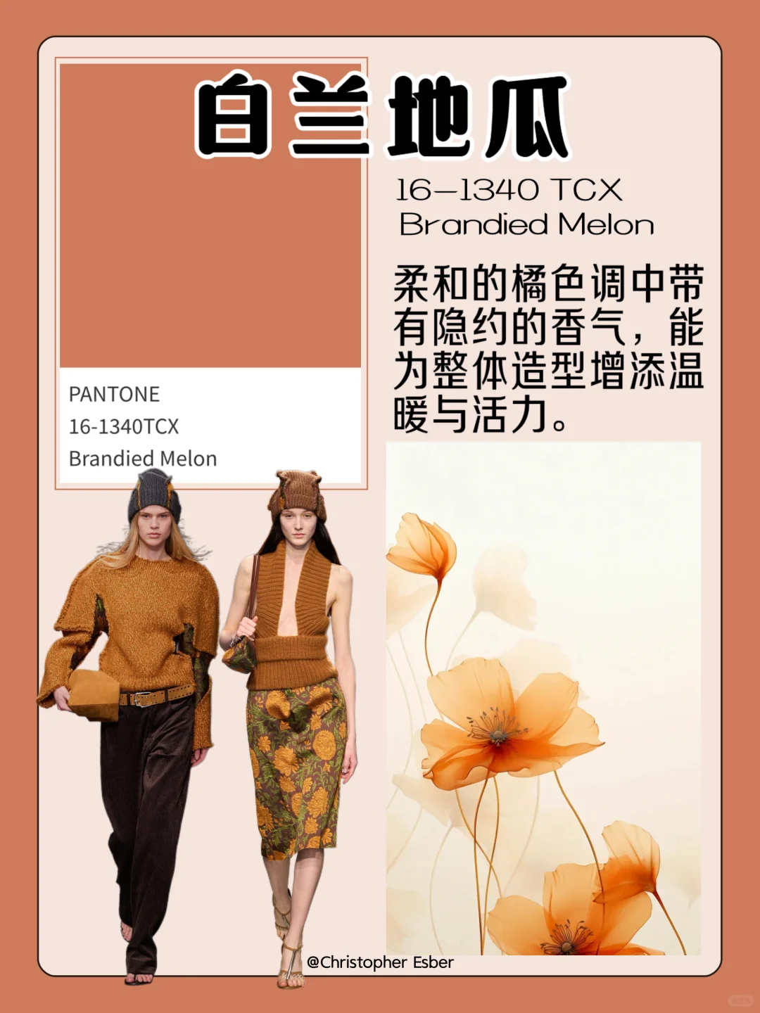 色彩流行趋势|盘点2025秋冬流行色