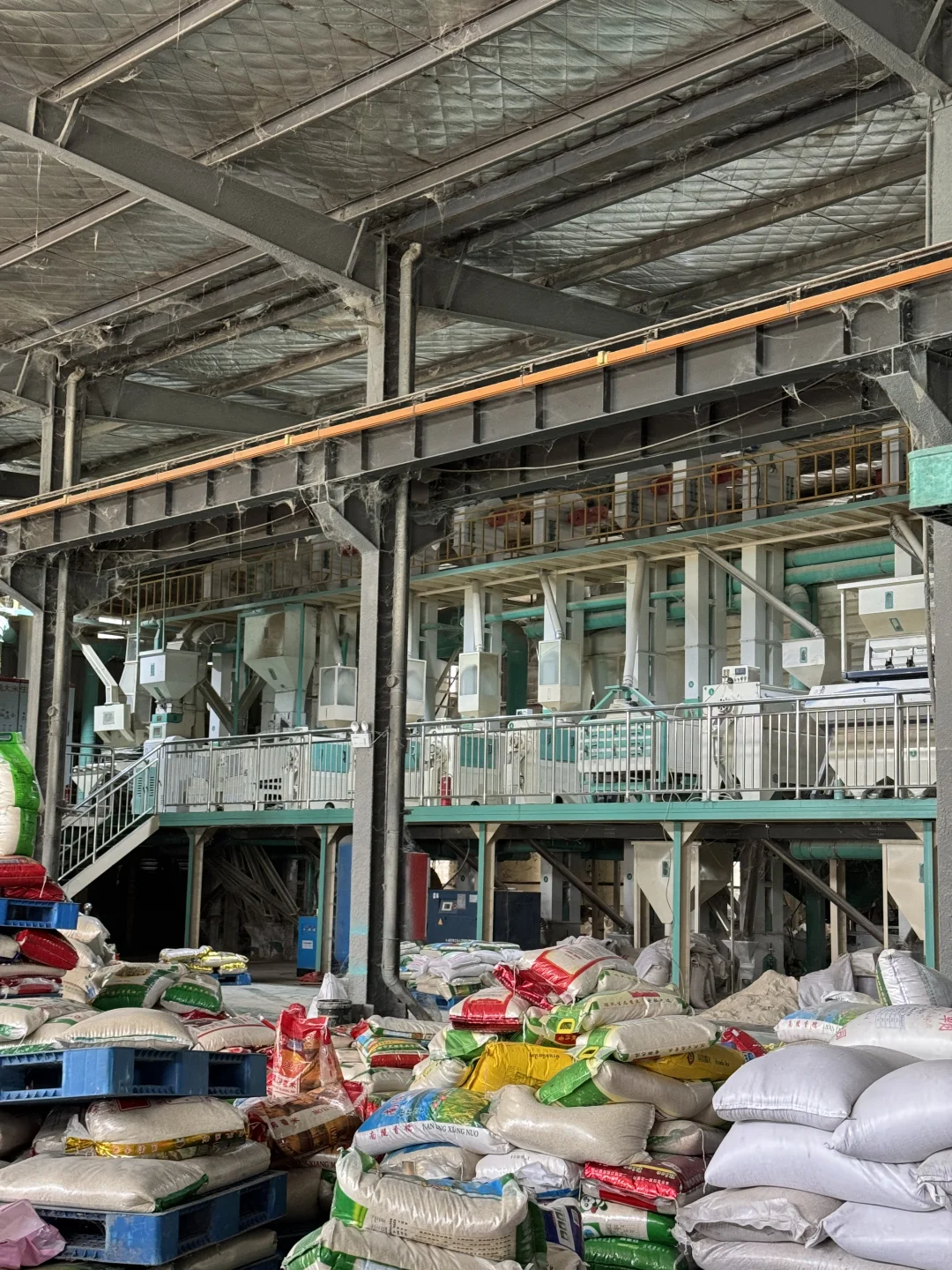 粮油厂二代毫无头绪的一天?