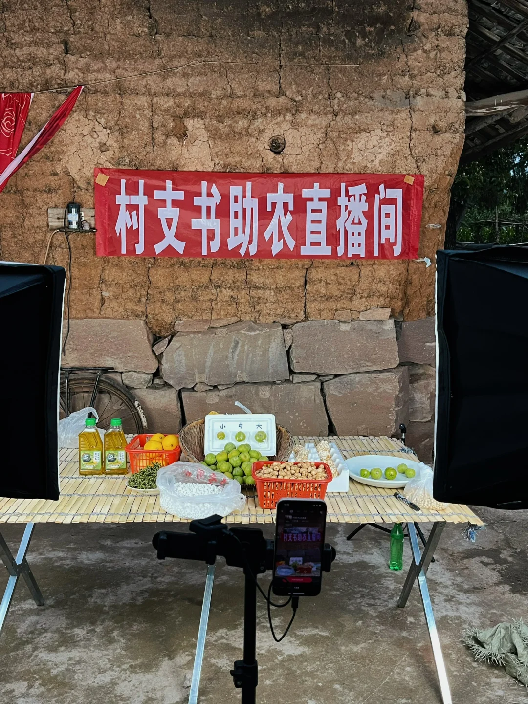 家人我回村了? 选择了做三农助农直播