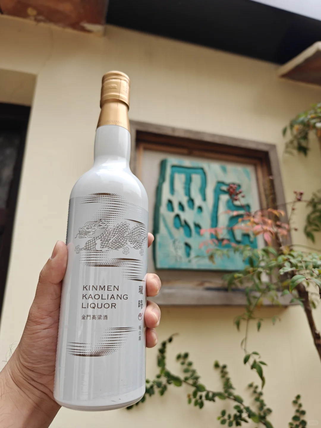 今日一款之暖白雾