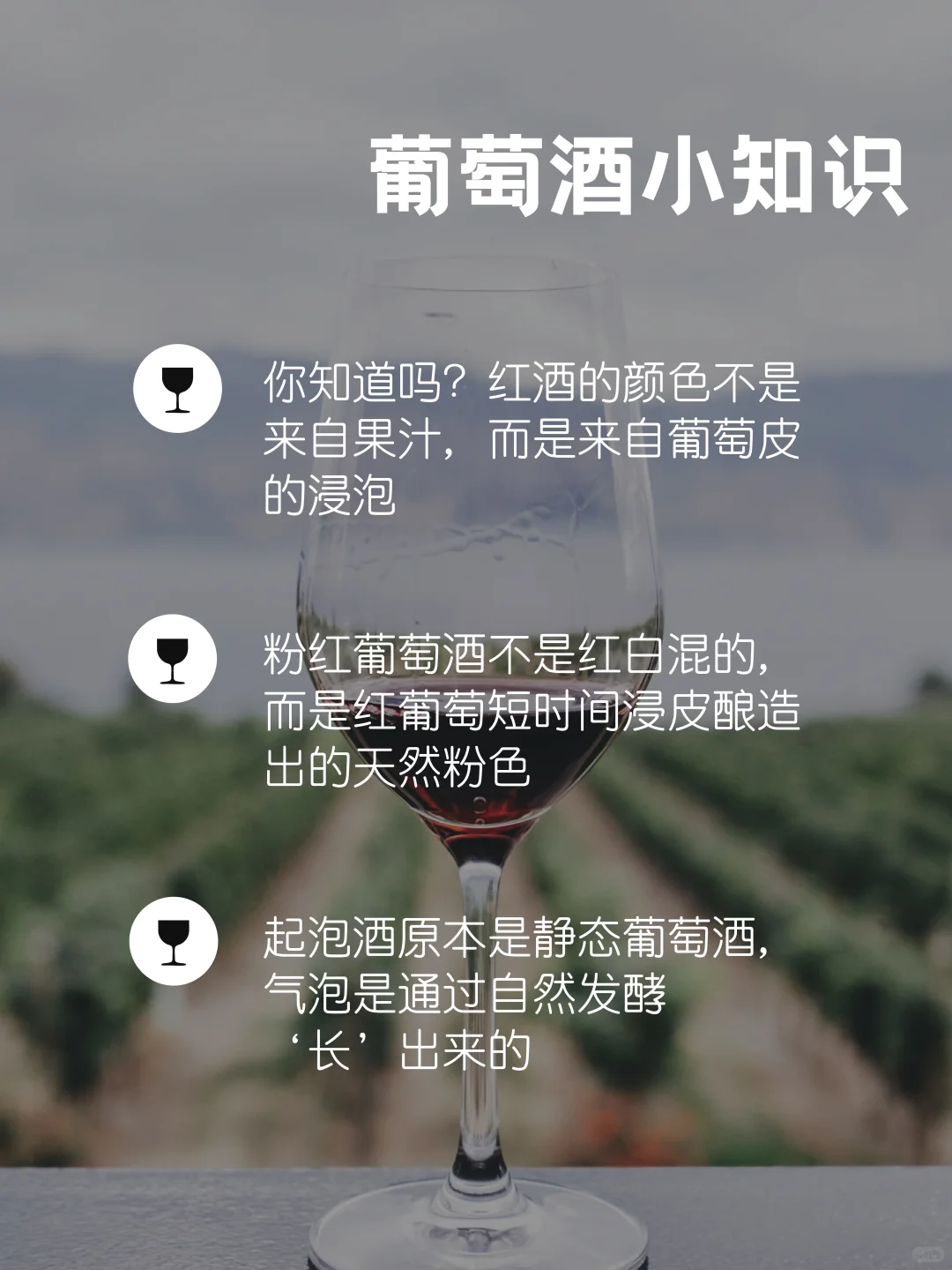 红酒新手也能选对款?