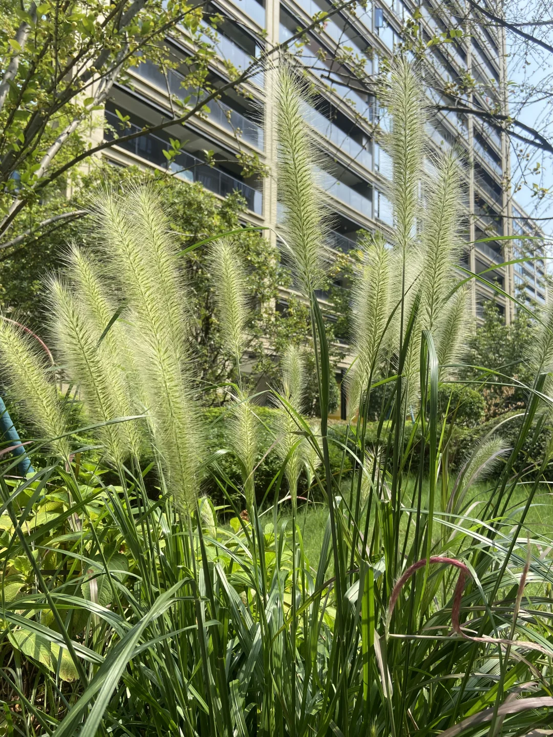 找园林、园艺、农业相关供应⬆️?