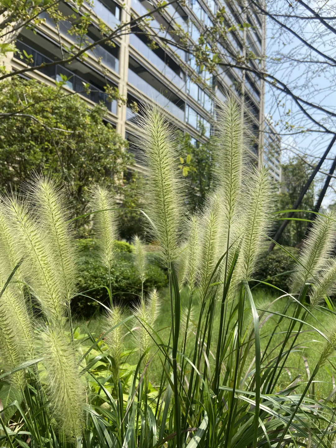 找园林、园艺、农业相关供应⬆️?