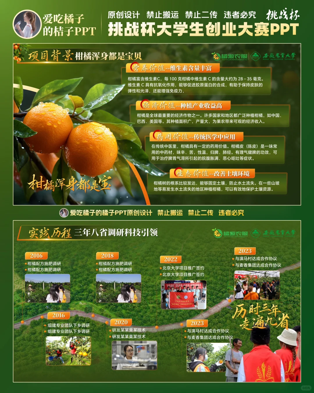 挑战杯柑橘助农乡村振兴PPT设计 助农PPT