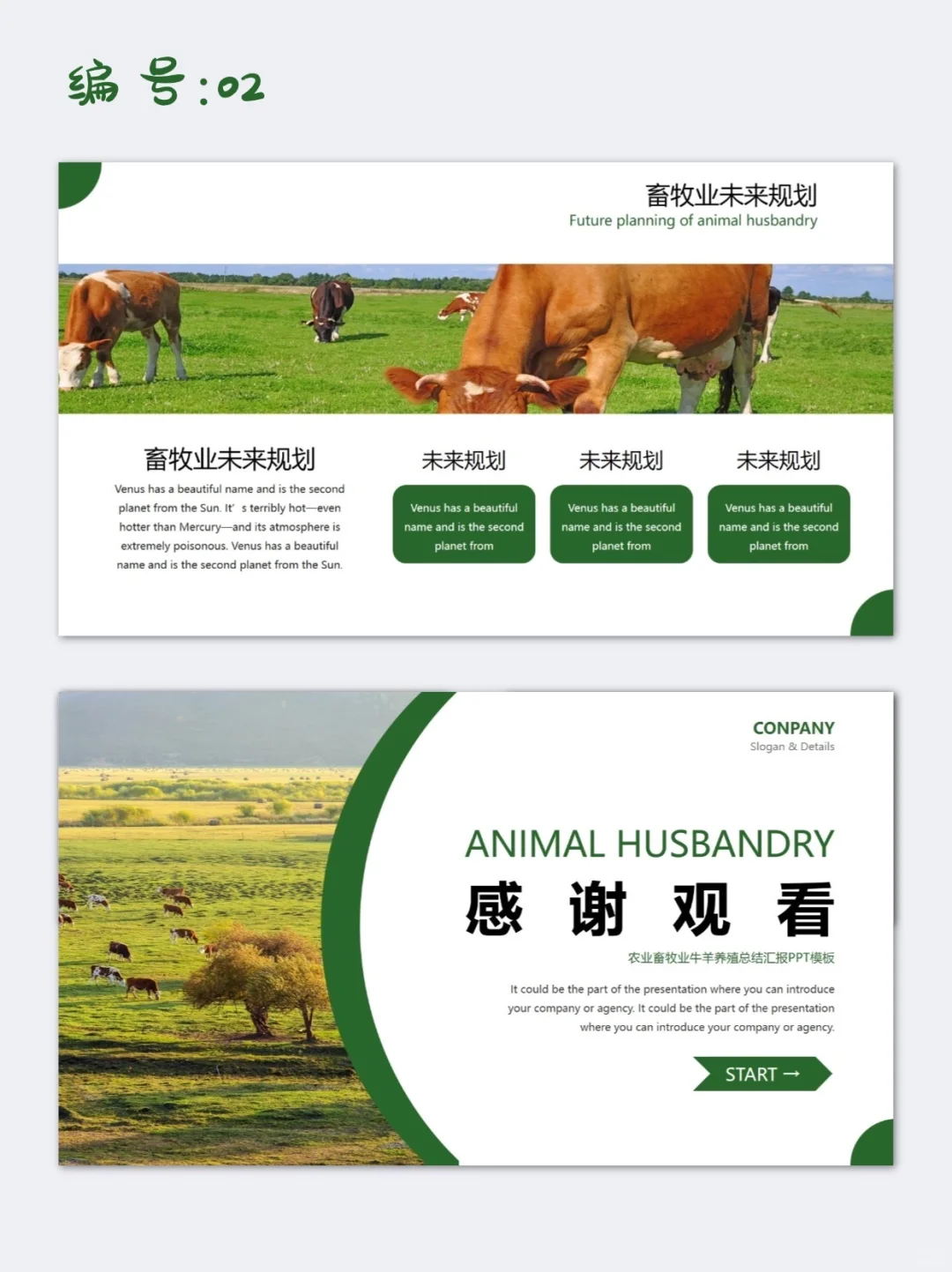 绿色简约风农村畜牧业养殖市场分析PPT模板