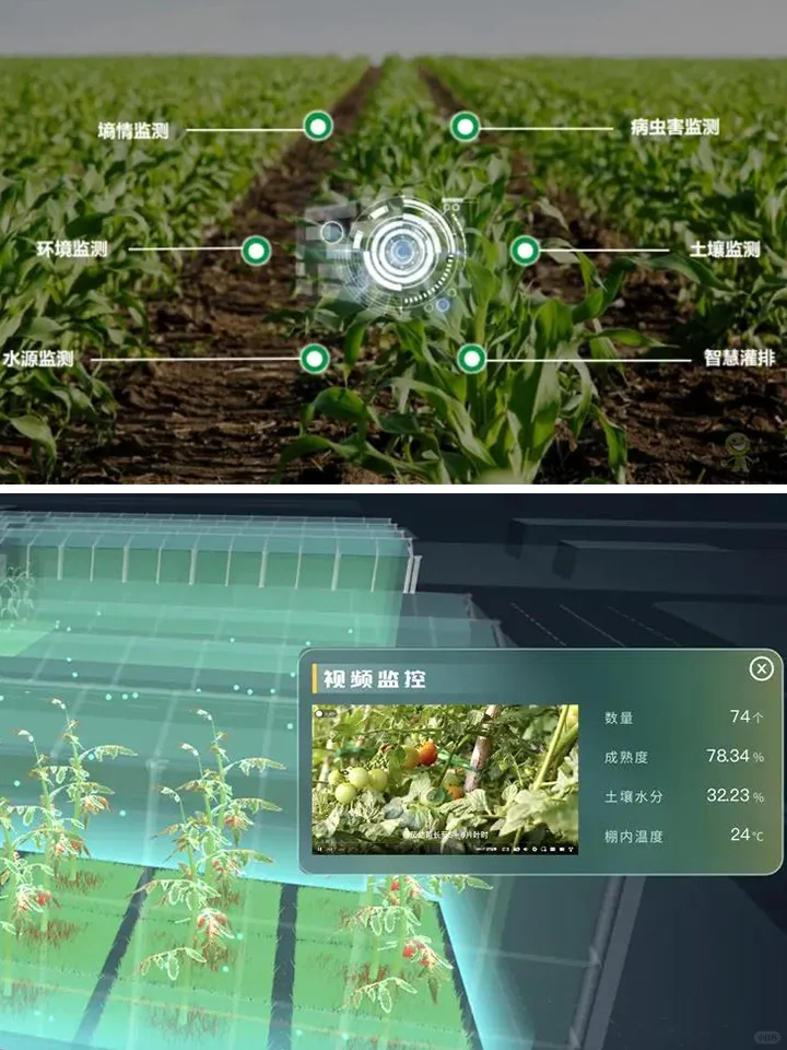 AI赋能智慧农业,让农业系统越来越“聪明”