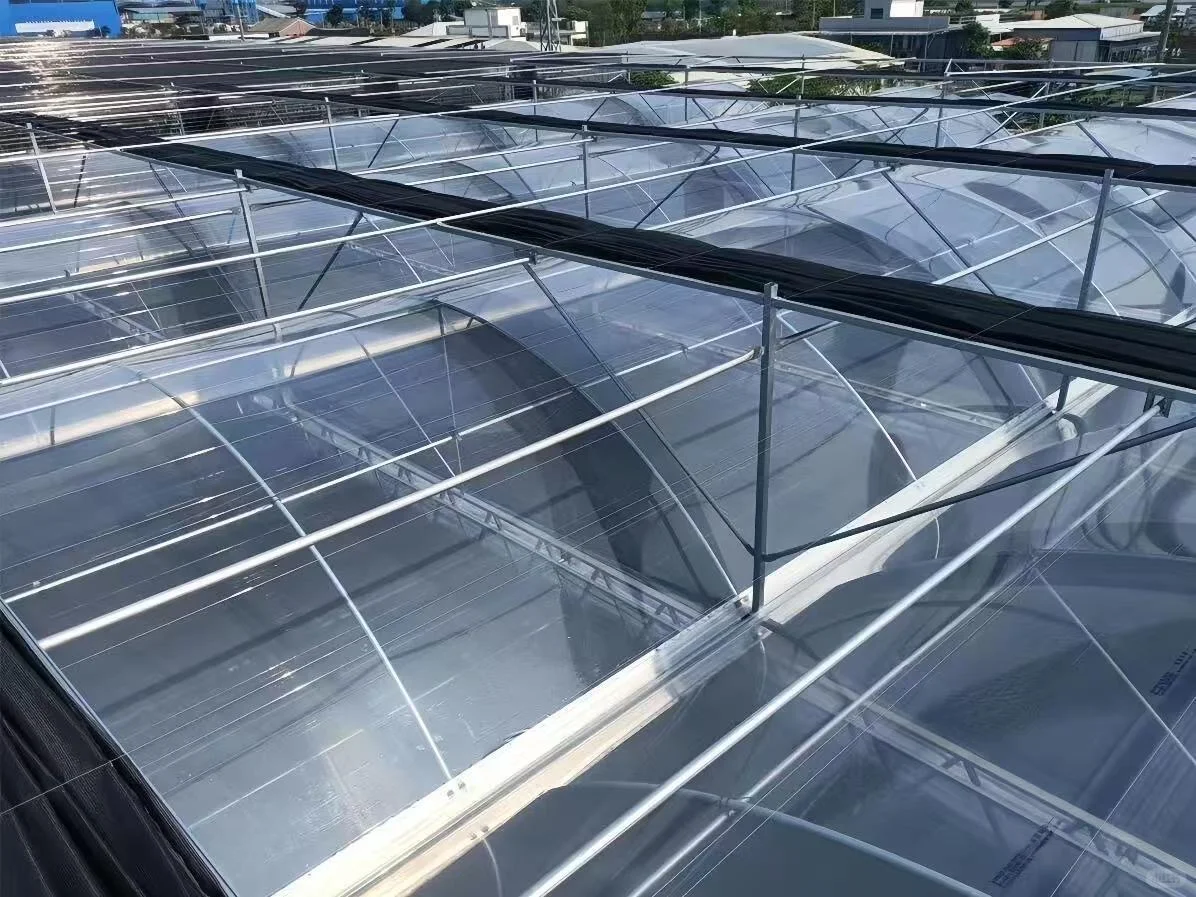 来个做玻璃温室工厂或者供应商