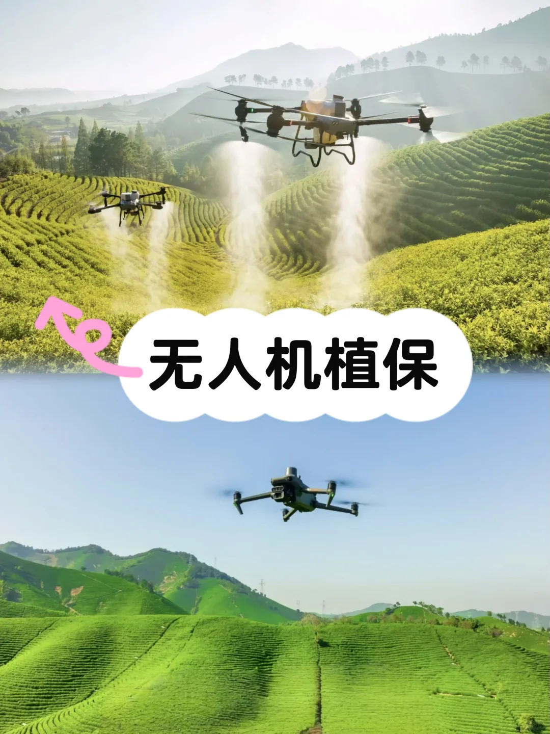 客户反馈!超省心的✈️无人机服务来啦