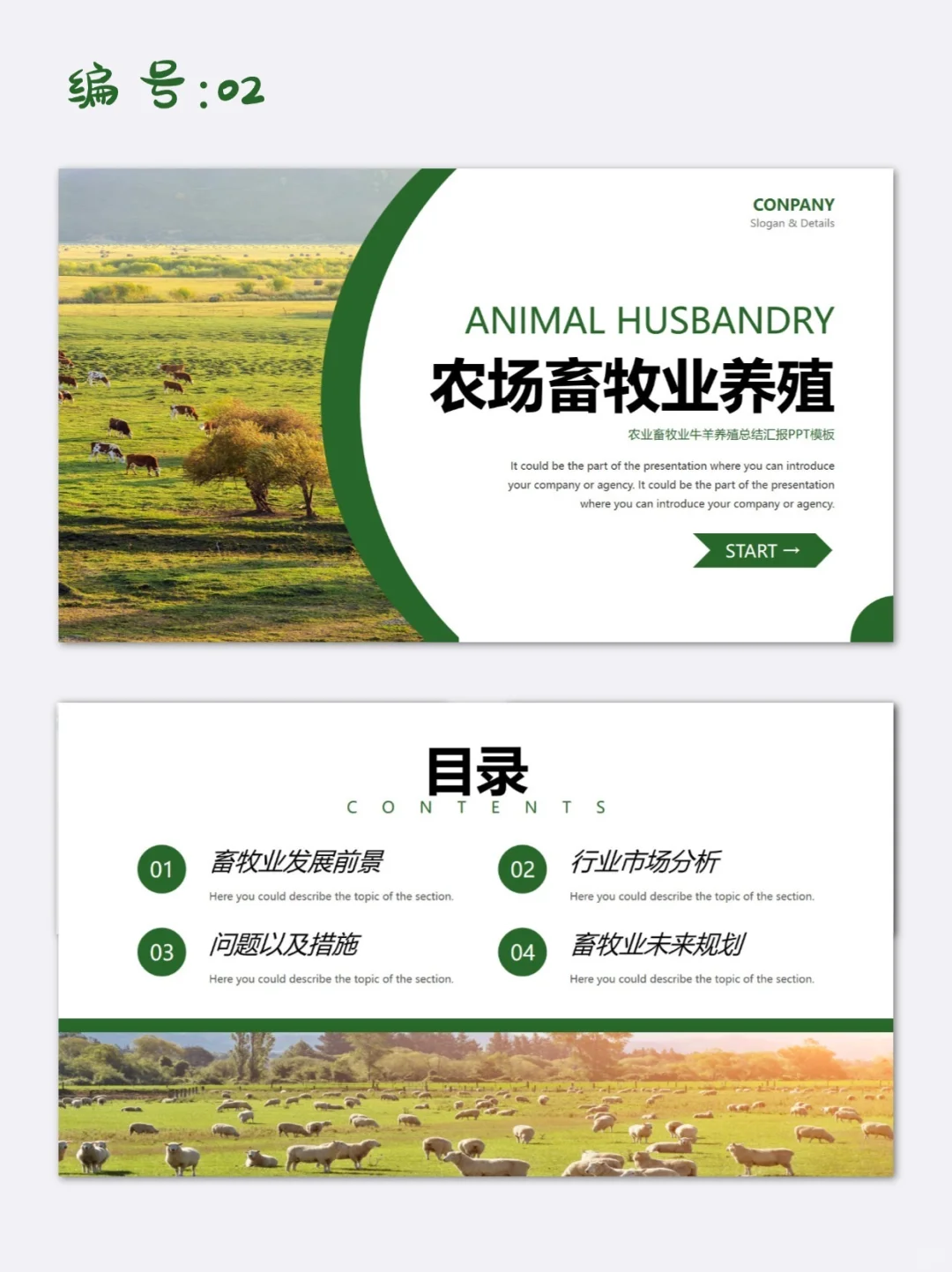 绿色简约风农村畜牧业养殖市场分析PPT模板