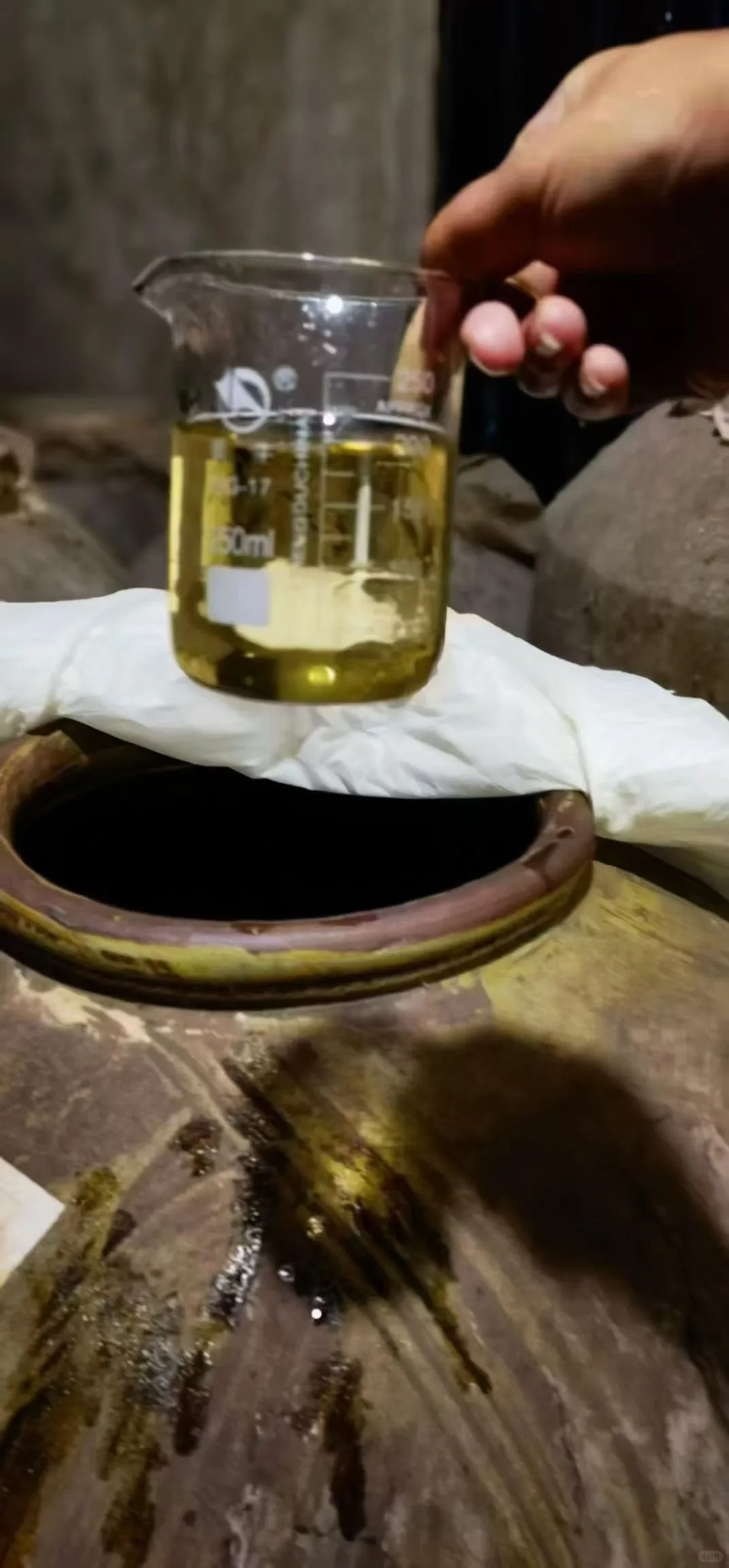 宝子们！别再乱买酱酒了！