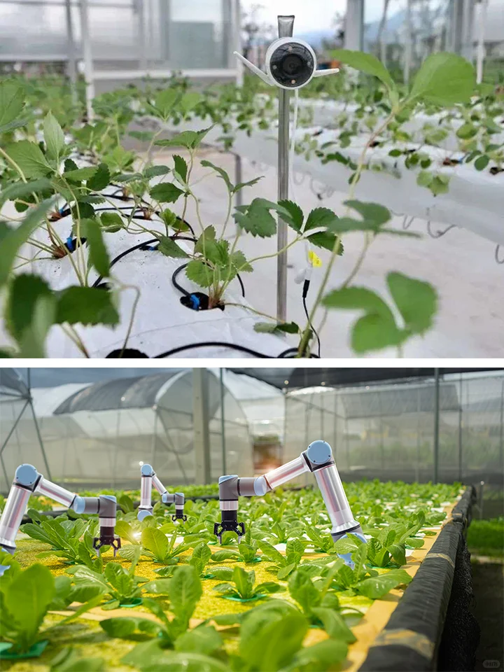 AI赋能智慧农业,让农业系统越来越“聪明”