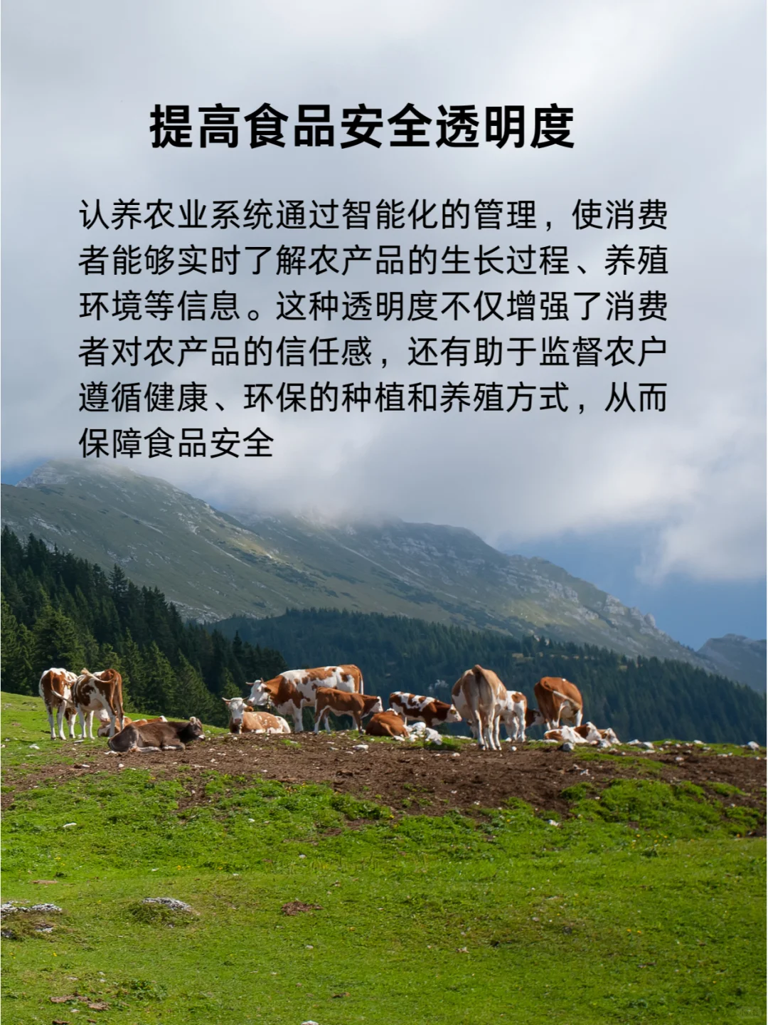 区区认养农业，拿下！?