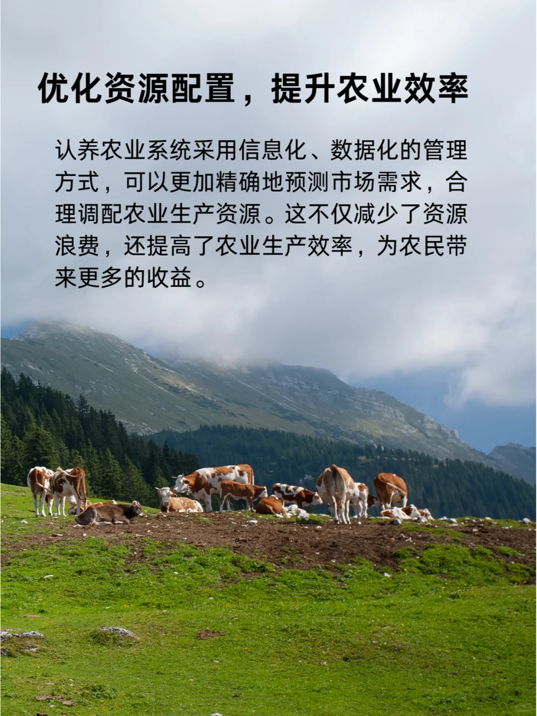 区区认养农业，拿下！?