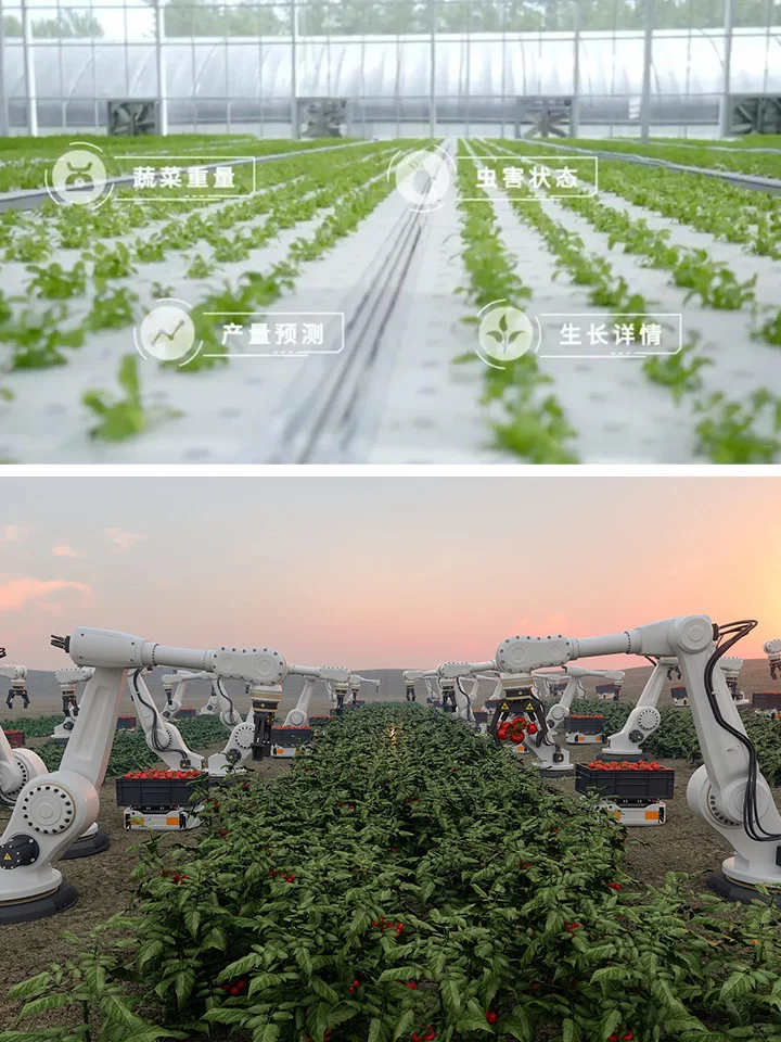 AI赋能智慧农业,让农业系统越来越“聪明”