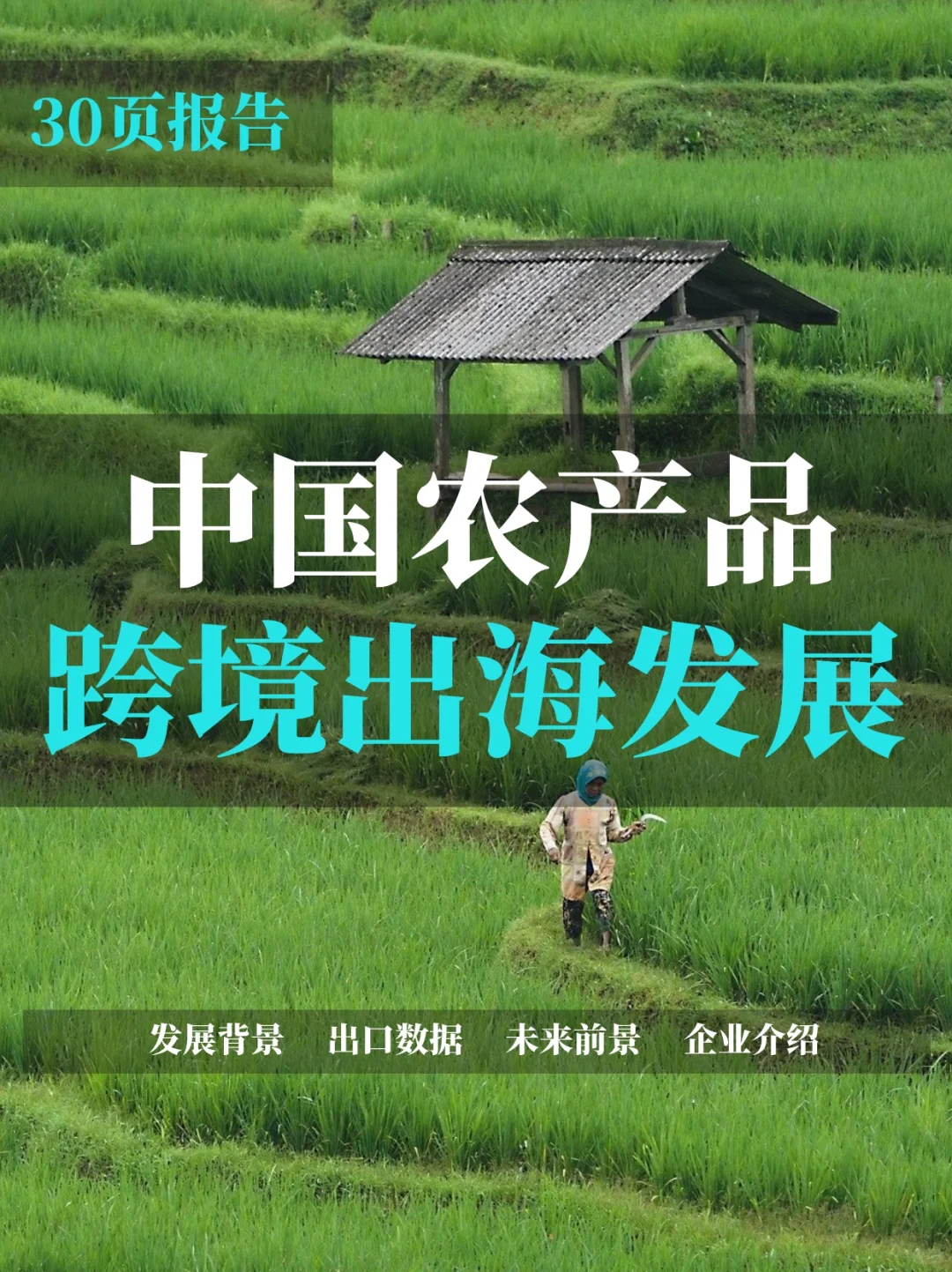 中国农产品跨境出海调研报告