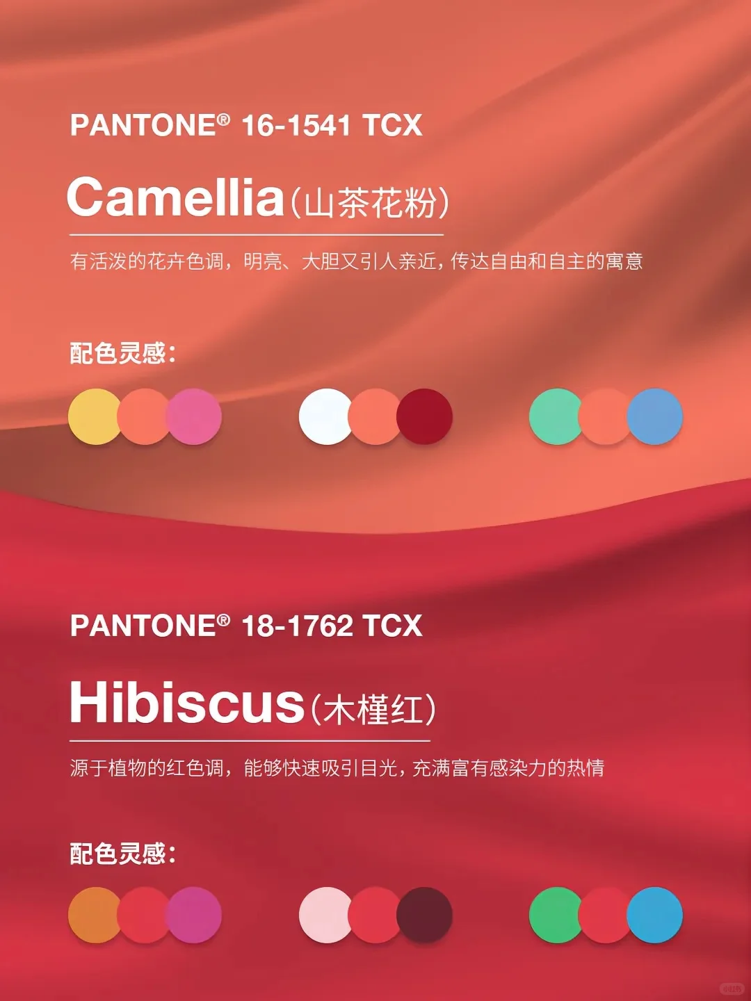 潘通2025时尚色前瞻