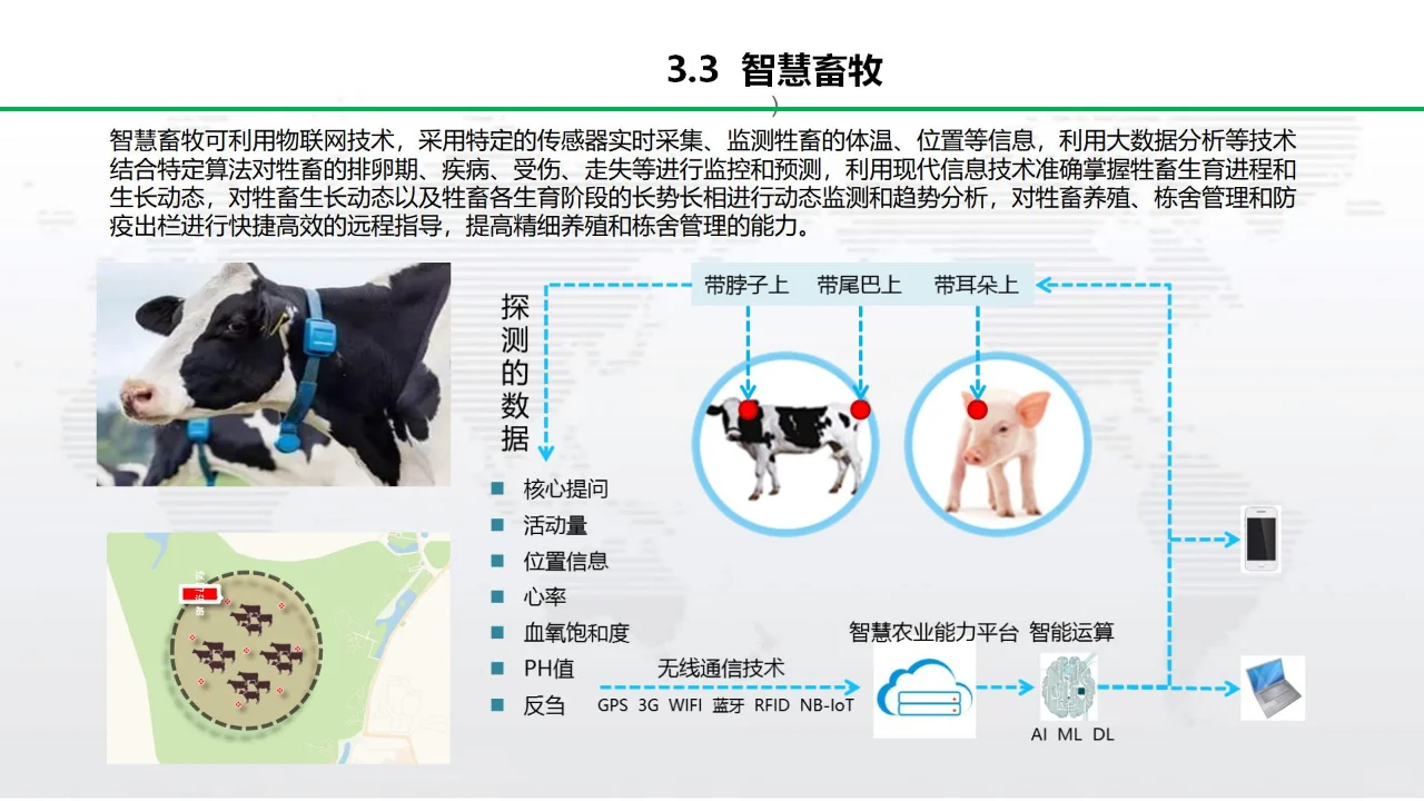 升级你的菜地：打造自动化可持续的智慧农业