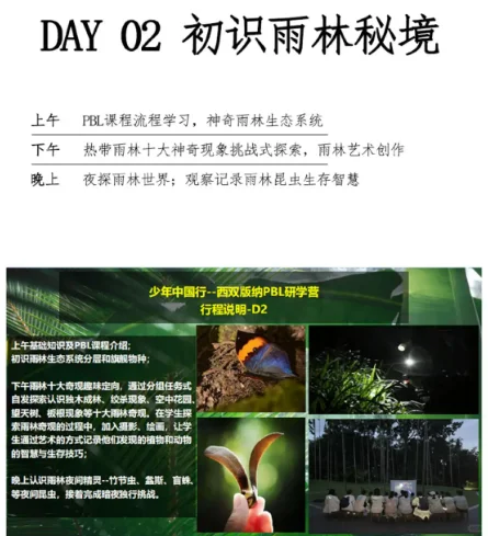 赋能少年,西双版纳雨林探索首发团来啦!