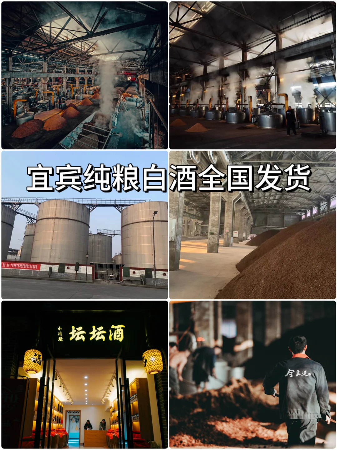 除了五粮液,宜宾还有什么酒值得你做?