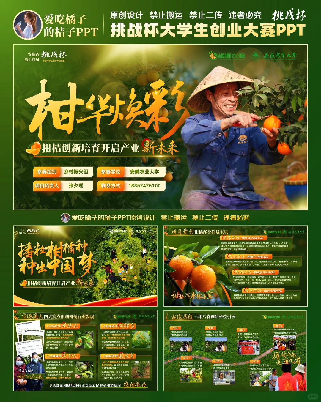 挑战杯柑橘助农乡村振兴PPT设计 助农PPT
