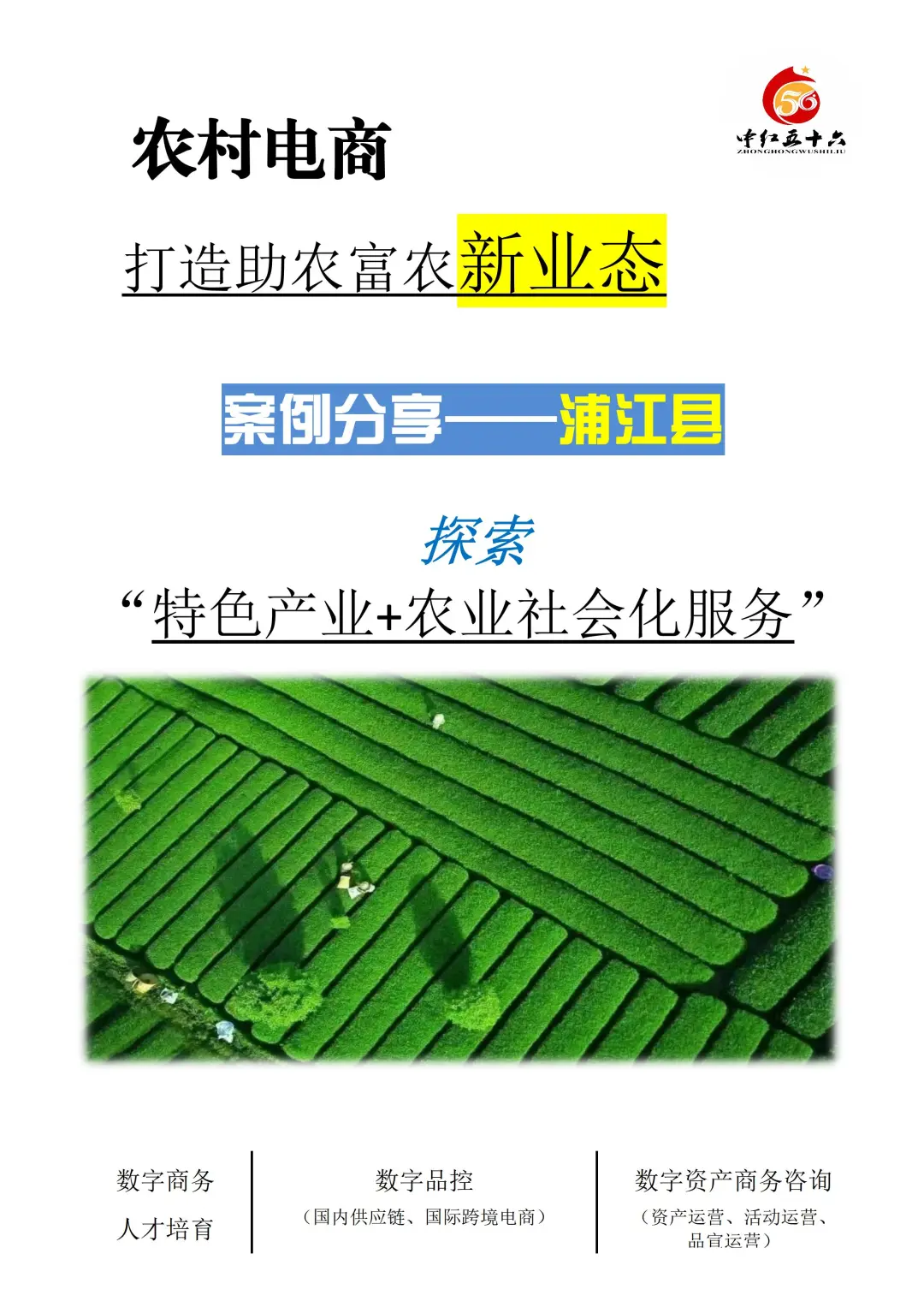 一颗“猕猴桃”，改变小县城