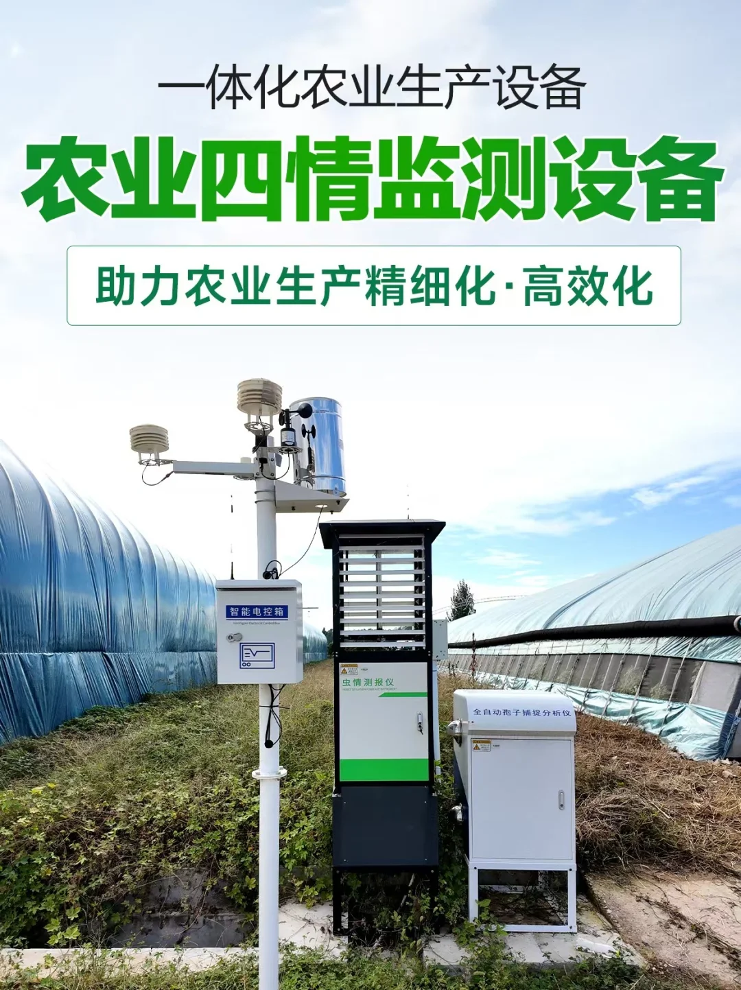 告别靠天吃饭?农业四情监测设备让农田说话