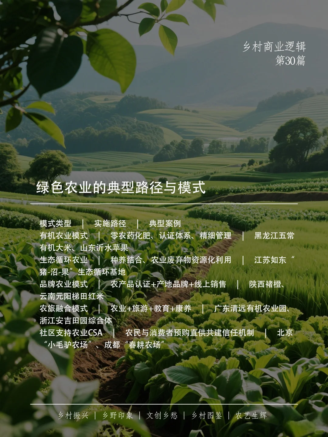 绿色农业，不只是种田，更是乡村的未来之路