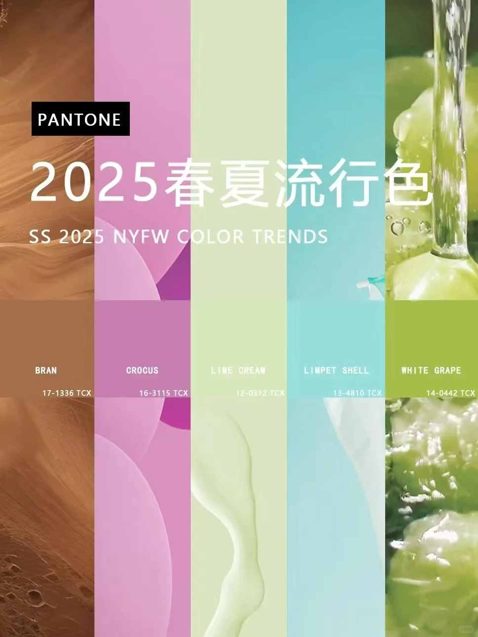 2025年纽约时装周十大春夏流行色