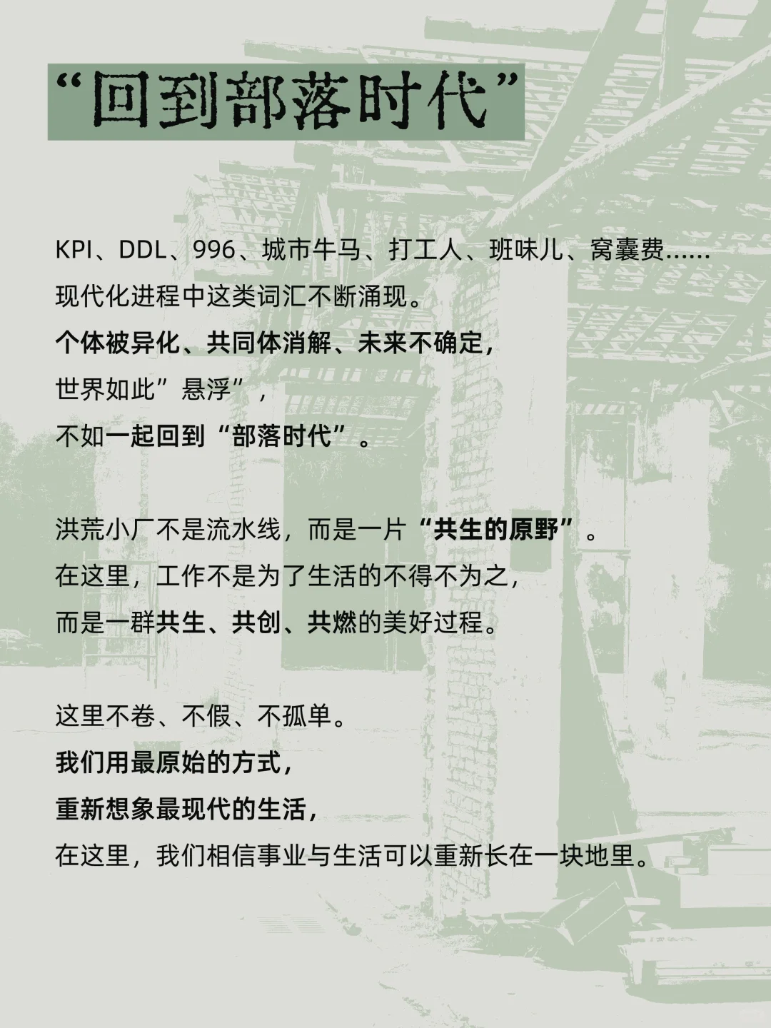 洪荒共生计划｜在乡村寻找28位创生伙伴