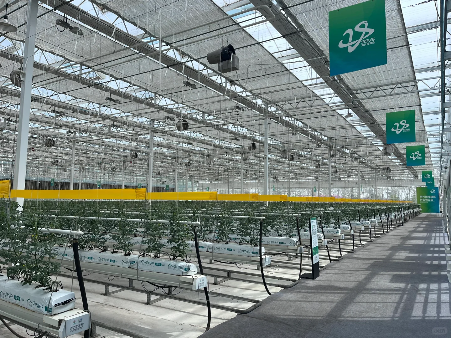 十个勤天拍摄地