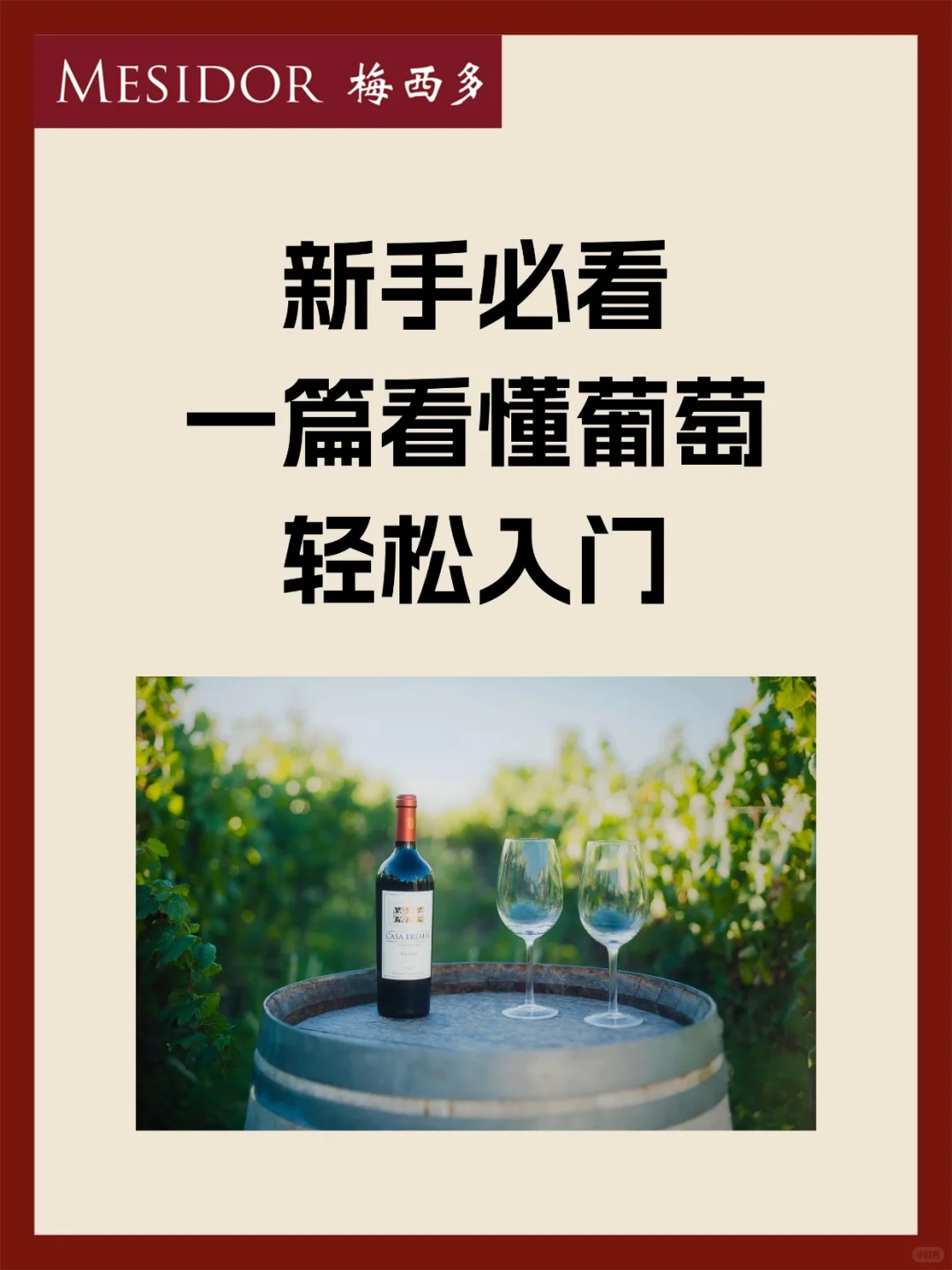 新手必看❗️一篇看懂葡萄酒轻松入门