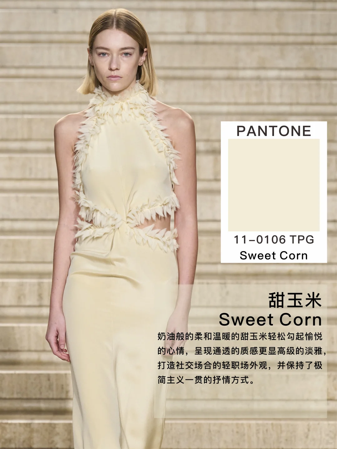 26/27AW中国色彩趋势