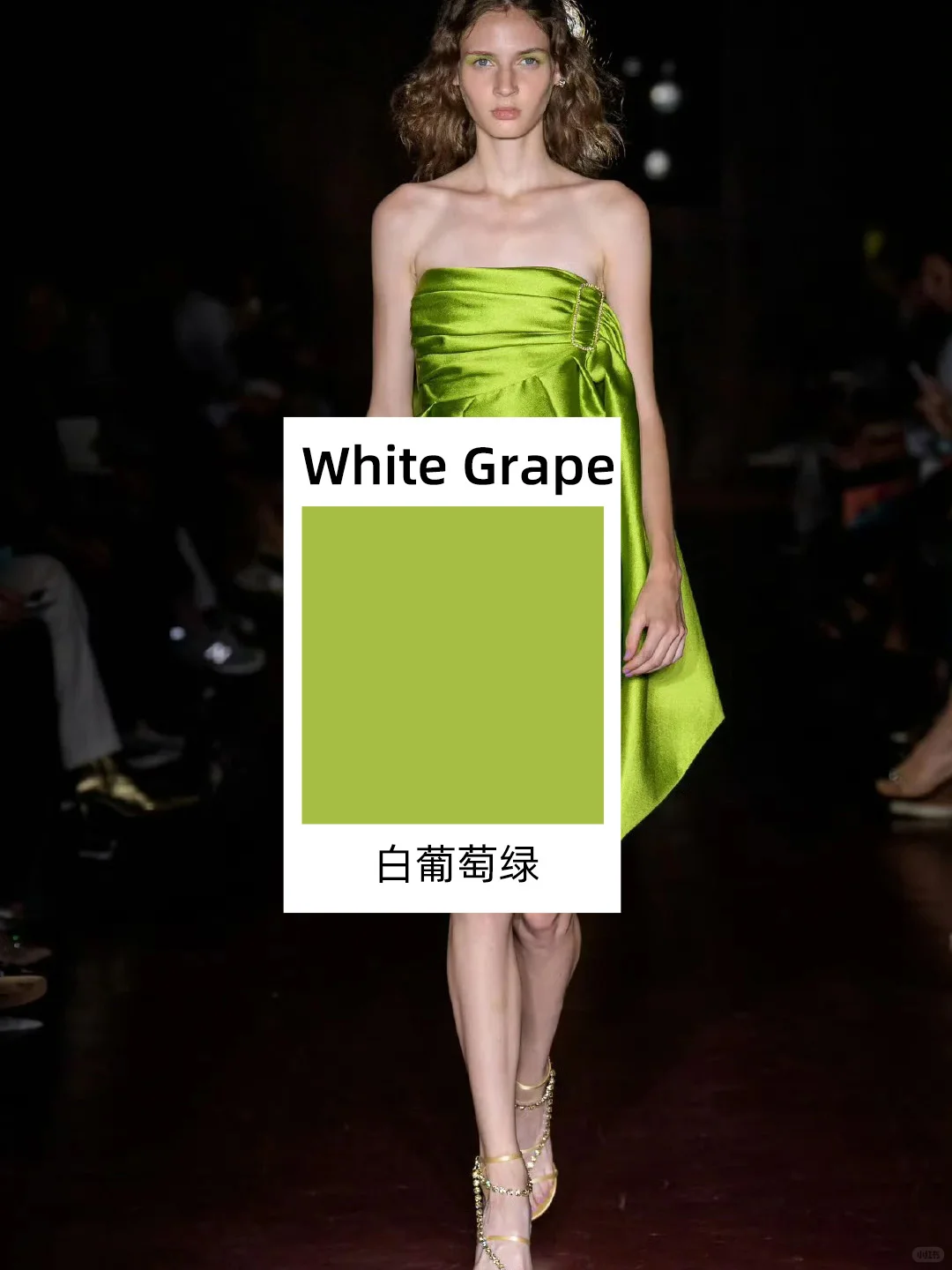 想知道 2025 春夏流行色趋势？点进来?