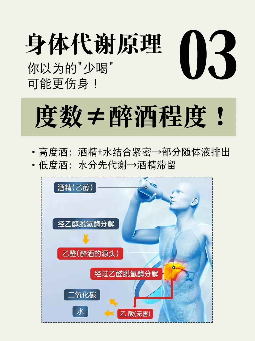 【白酒冷知识】低度酒比高度酒更上头？