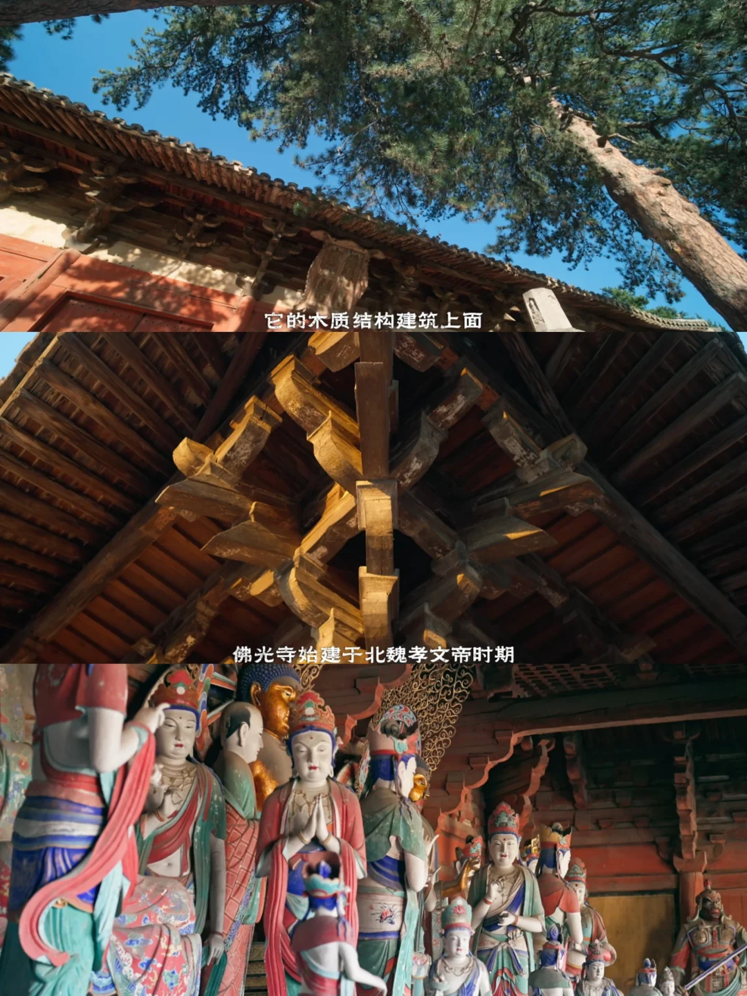 纪录片记录|NO.24文物守护人