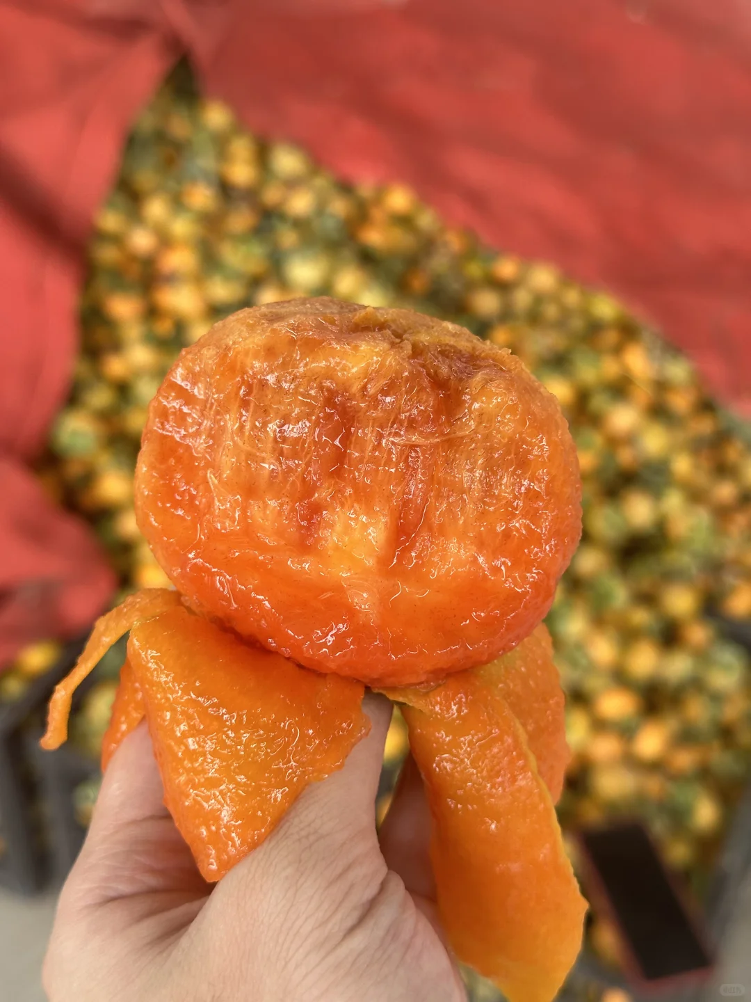 真正的助农~不要邮费、给地址就发