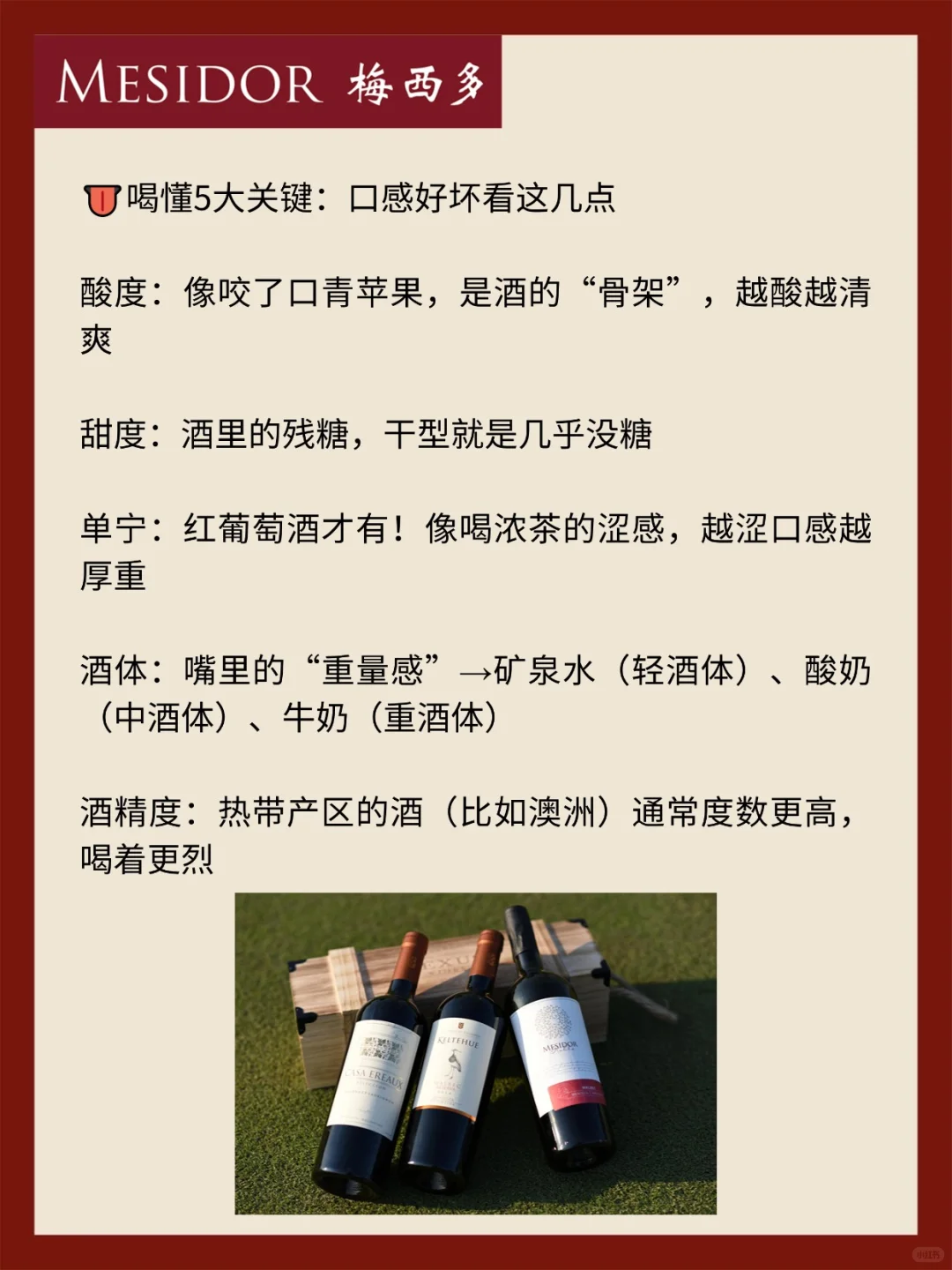 新手必看❗️一篇看懂葡萄酒轻松入门