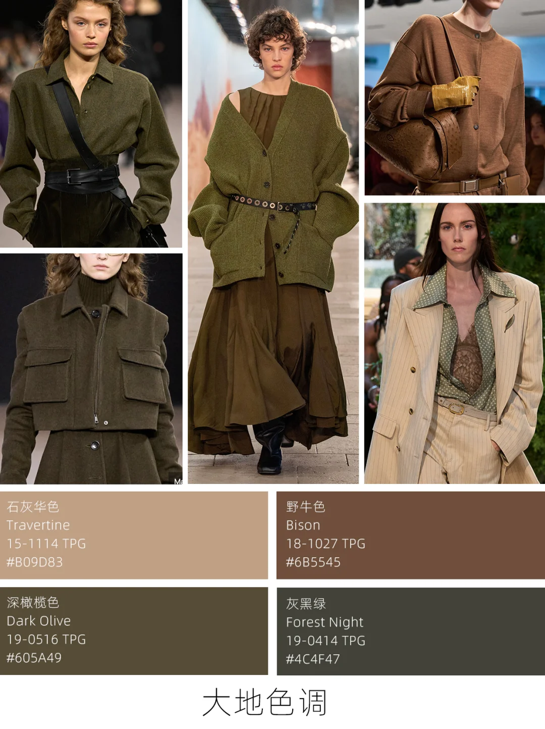 25秋冬色彩趋势