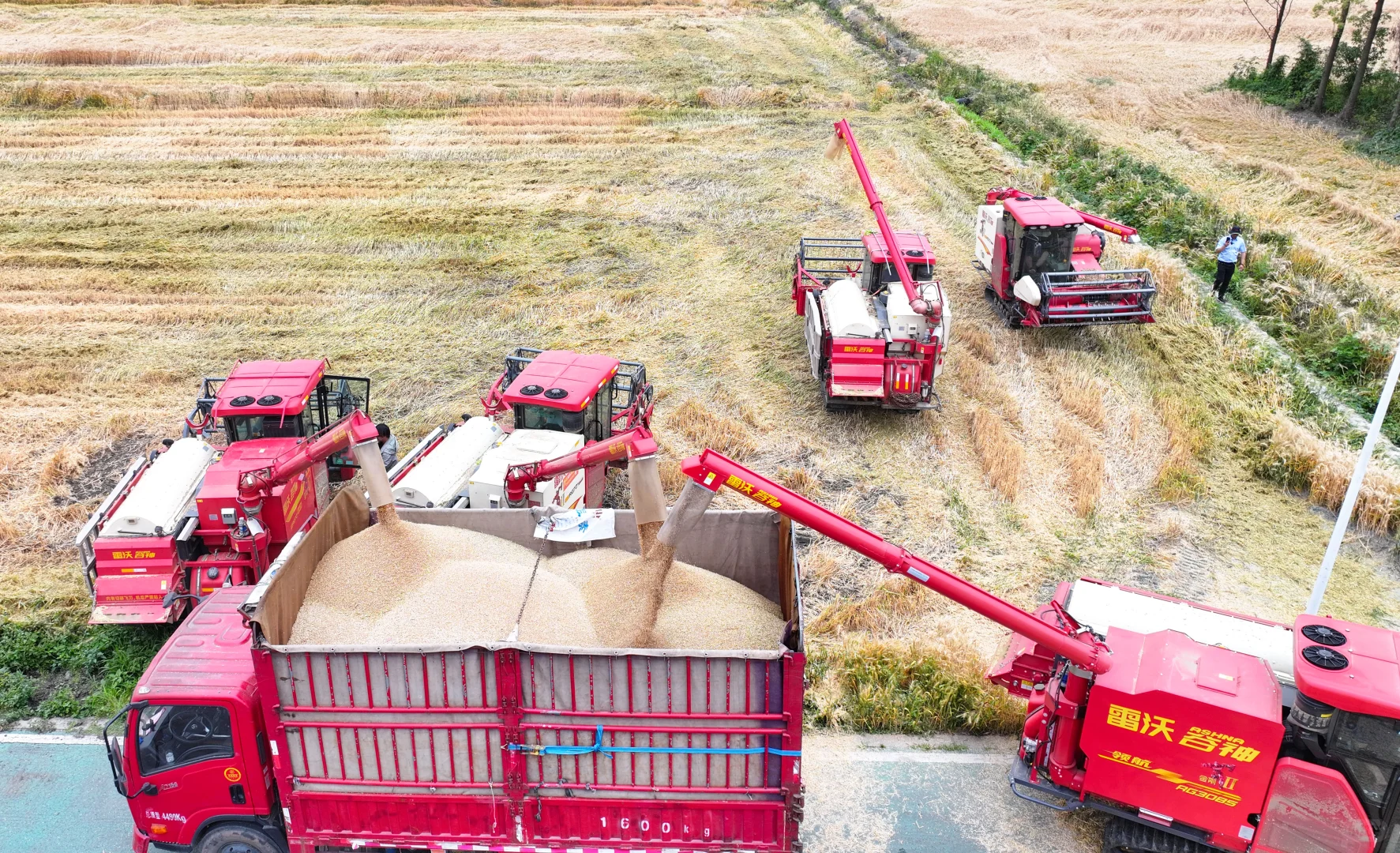 三夏实践中的潍柴雷沃“智慧跃升”