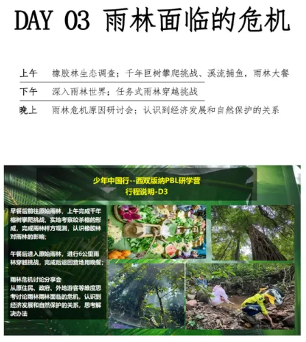 赋能少年,西双版纳雨林探索首发团来啦!