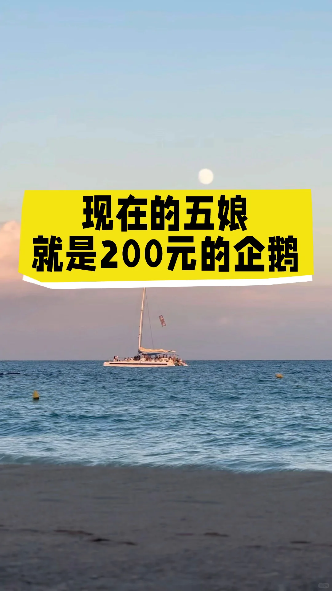 当下的五娘,就是200元的企鹅