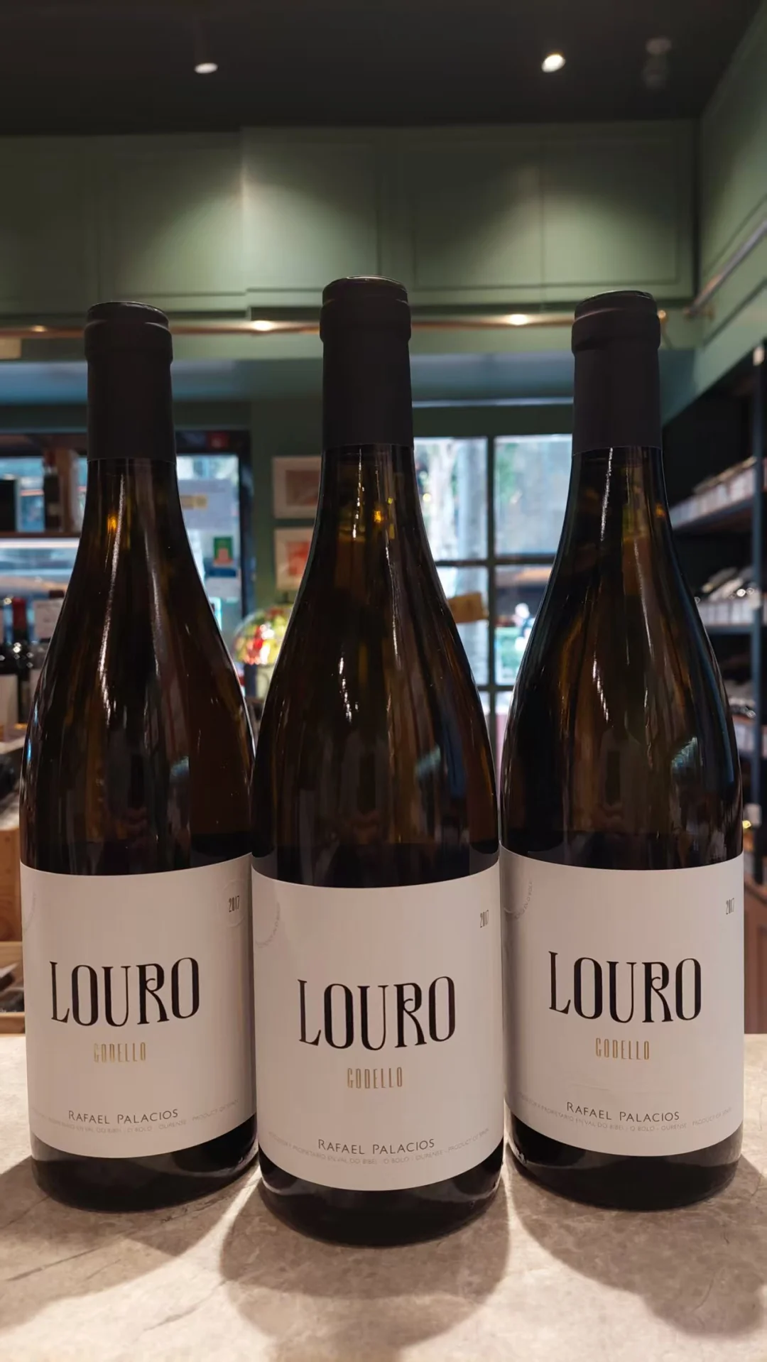 Rafael Palacios Louro Godello 2017