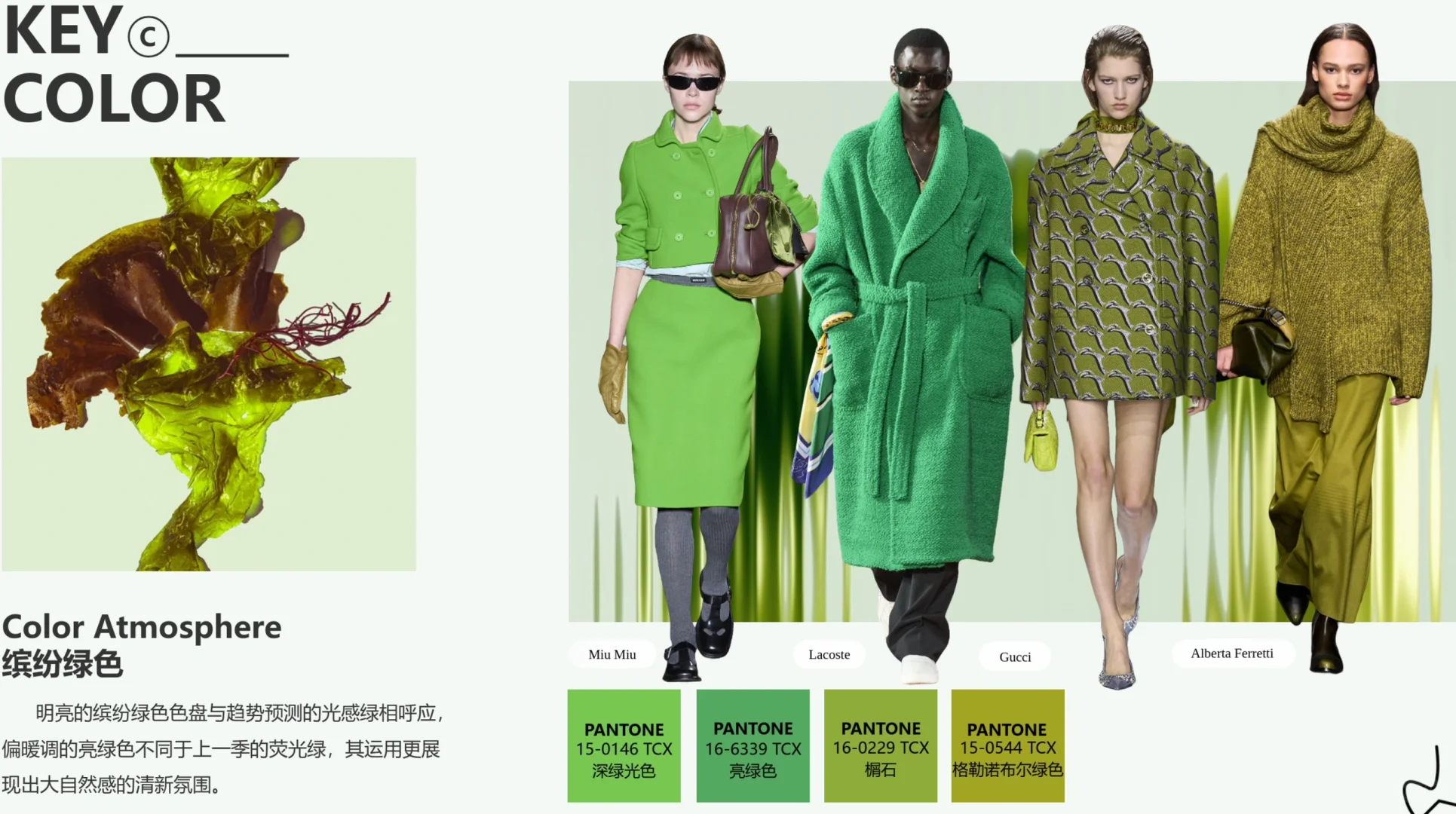 24/25秋冬时装周色彩趋势