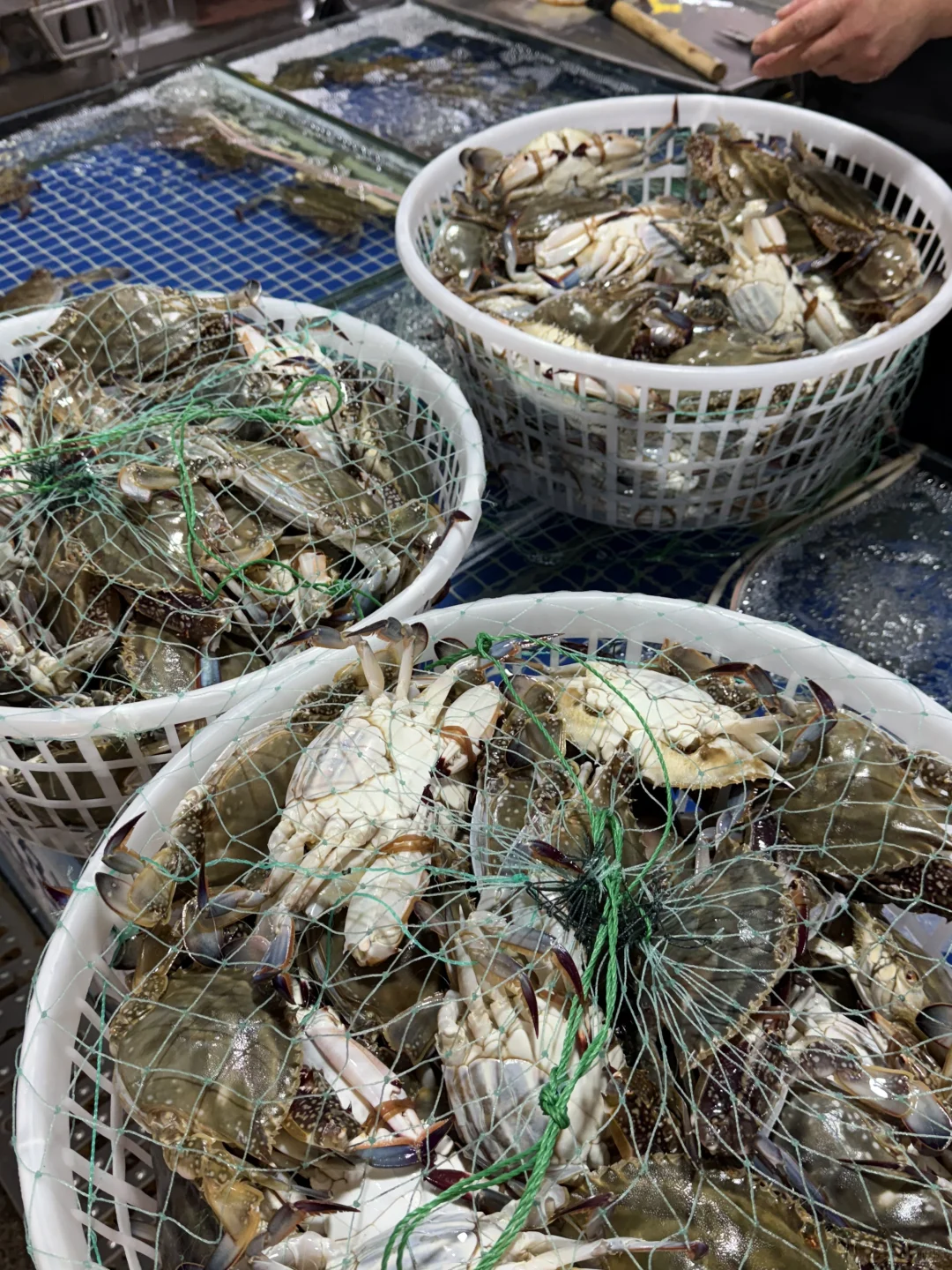 中秋当日青岛海鲜价格(本地人避雷攻略✅