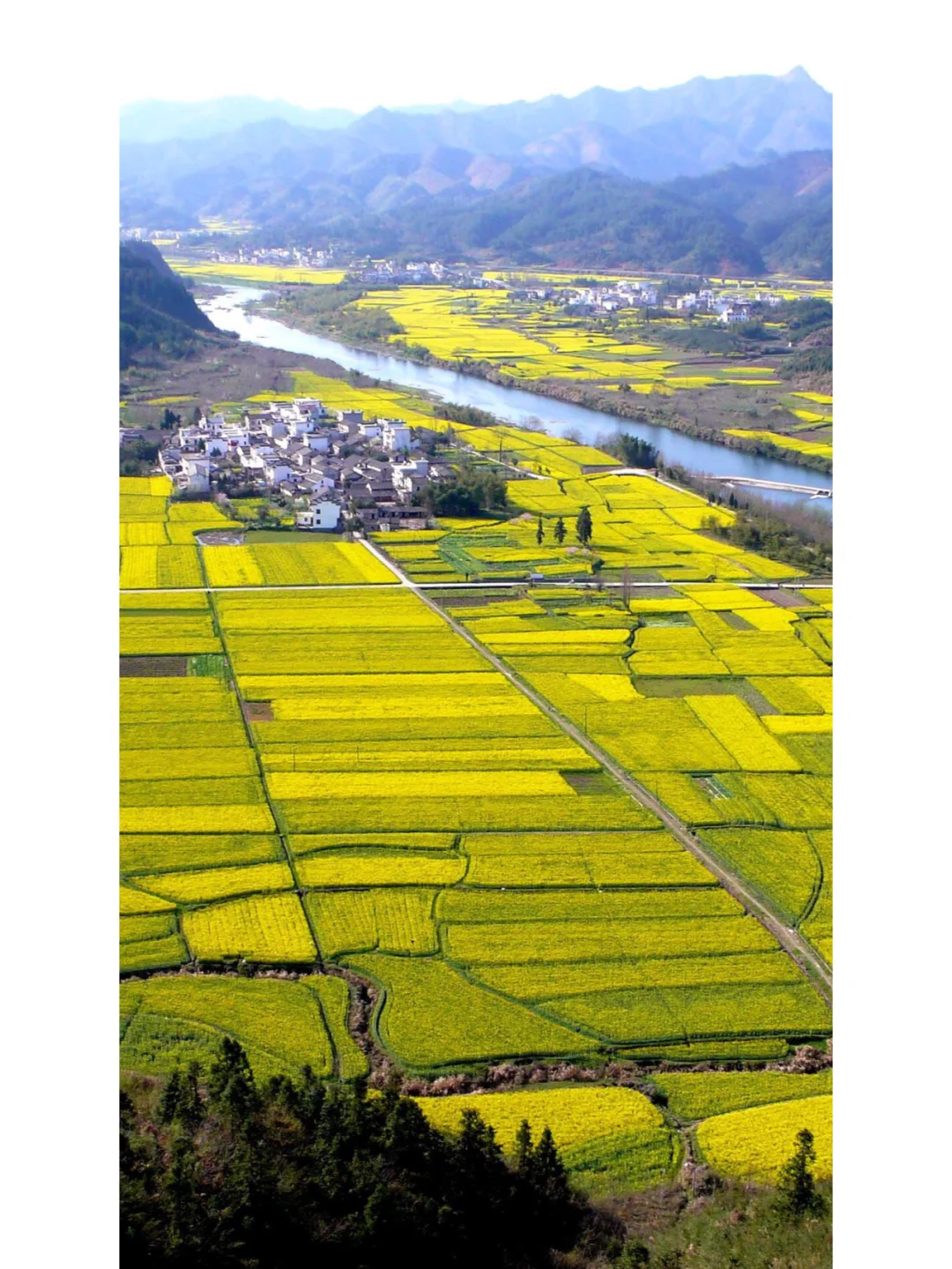 逃离城市,去乡下躺平??