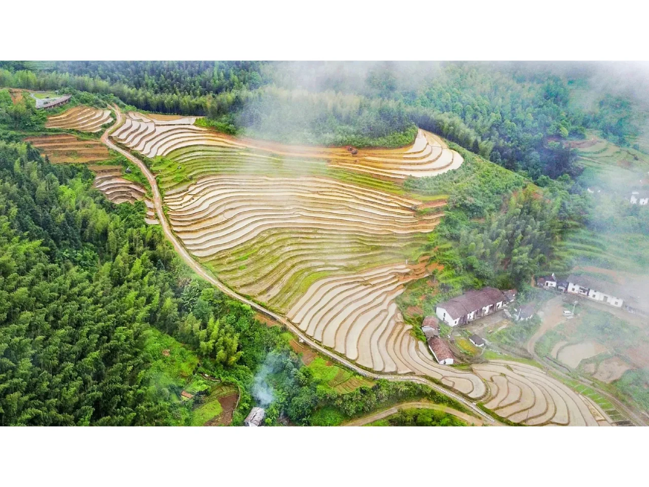 乡村振兴：绿色发展怎么做？ ?