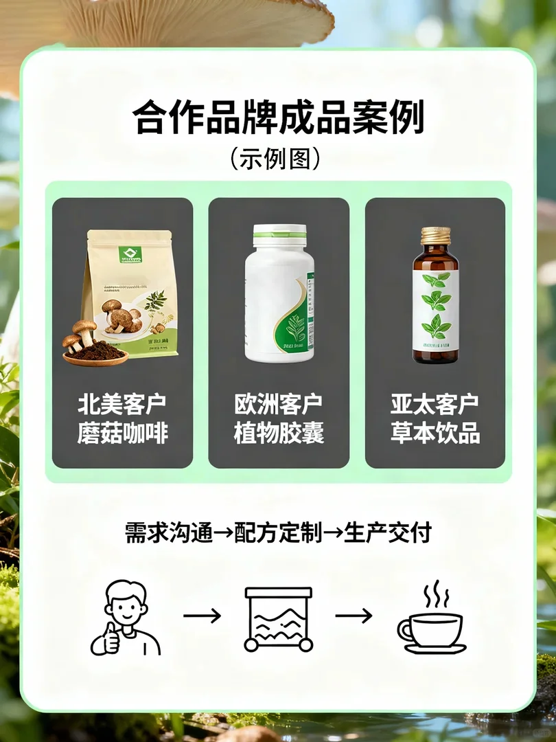 功能性菌菇代工｜全球oem/odm解决方案