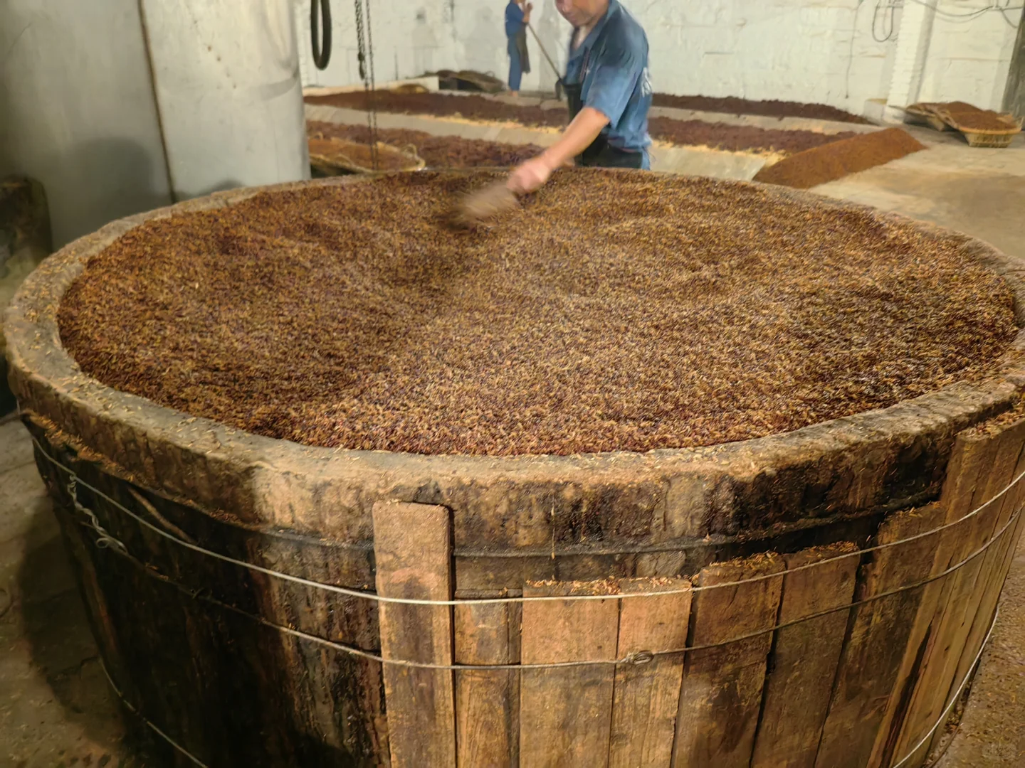 个人觉得这是泡酒最好的酒体，没有之一