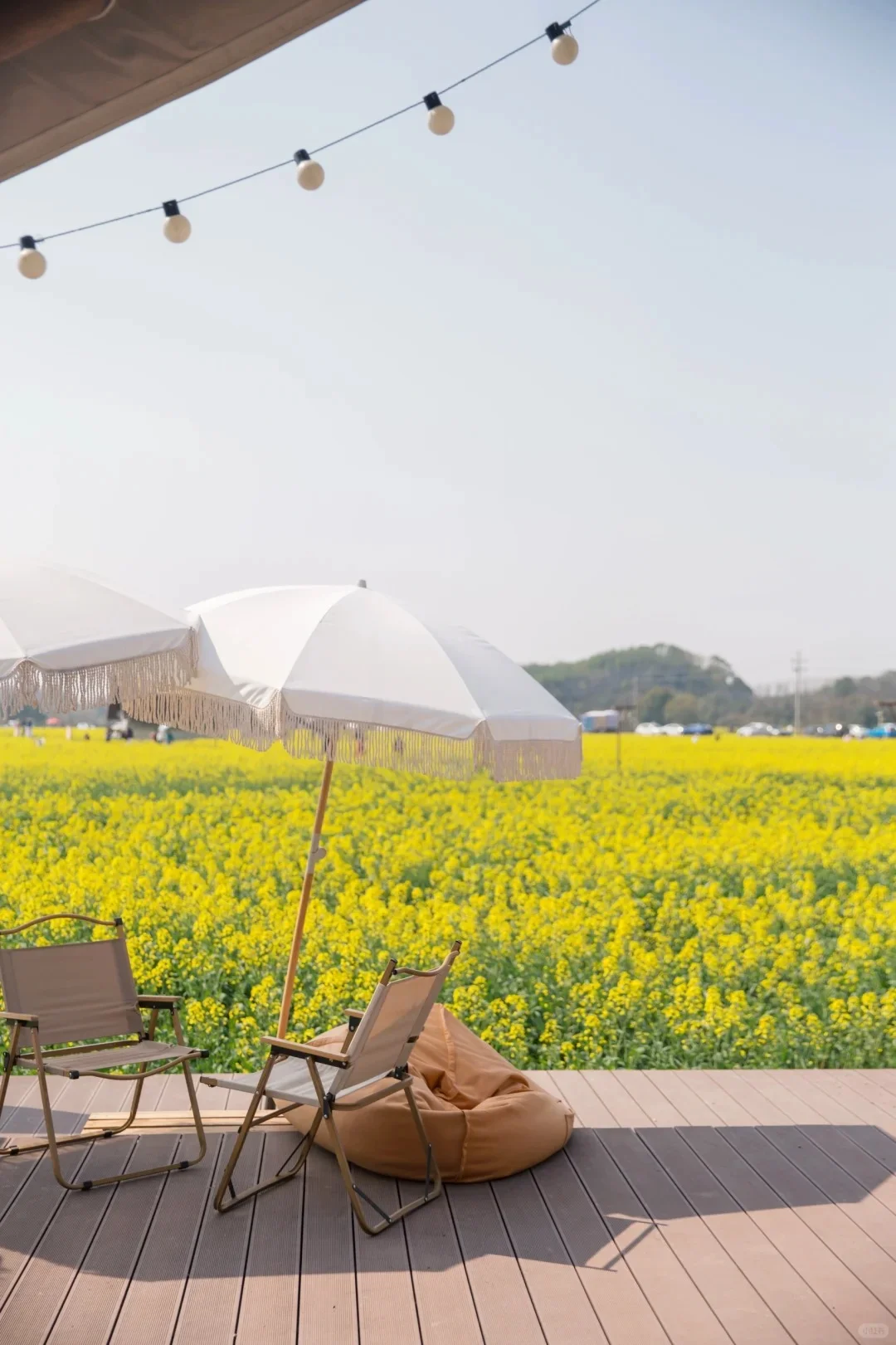 有机农场 + 文旅：解锁乡村新玩法