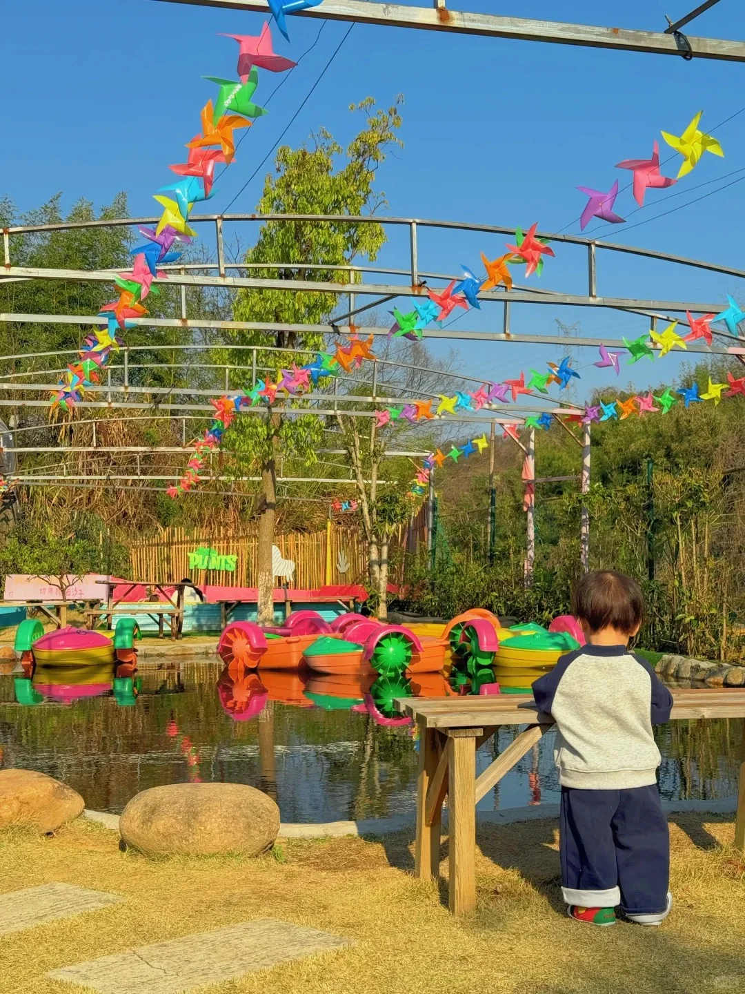 有机农场 + 文旅：解锁乡村新玩法